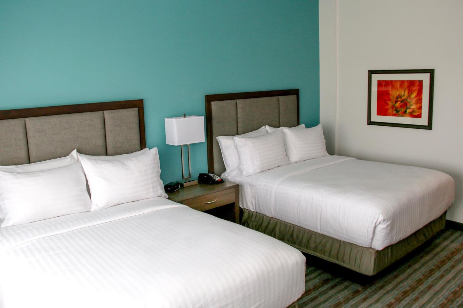 Holiday Inn & Suites Denver Tech Center-Centennial by IHG gallery photo in Centennial, CO — image 36