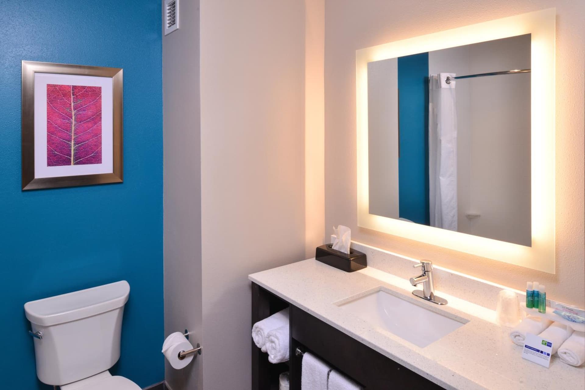 Holiday Inn Express and Suites Bryant - Benton Area by IHG gallery photo in Bryant, AR — image 57