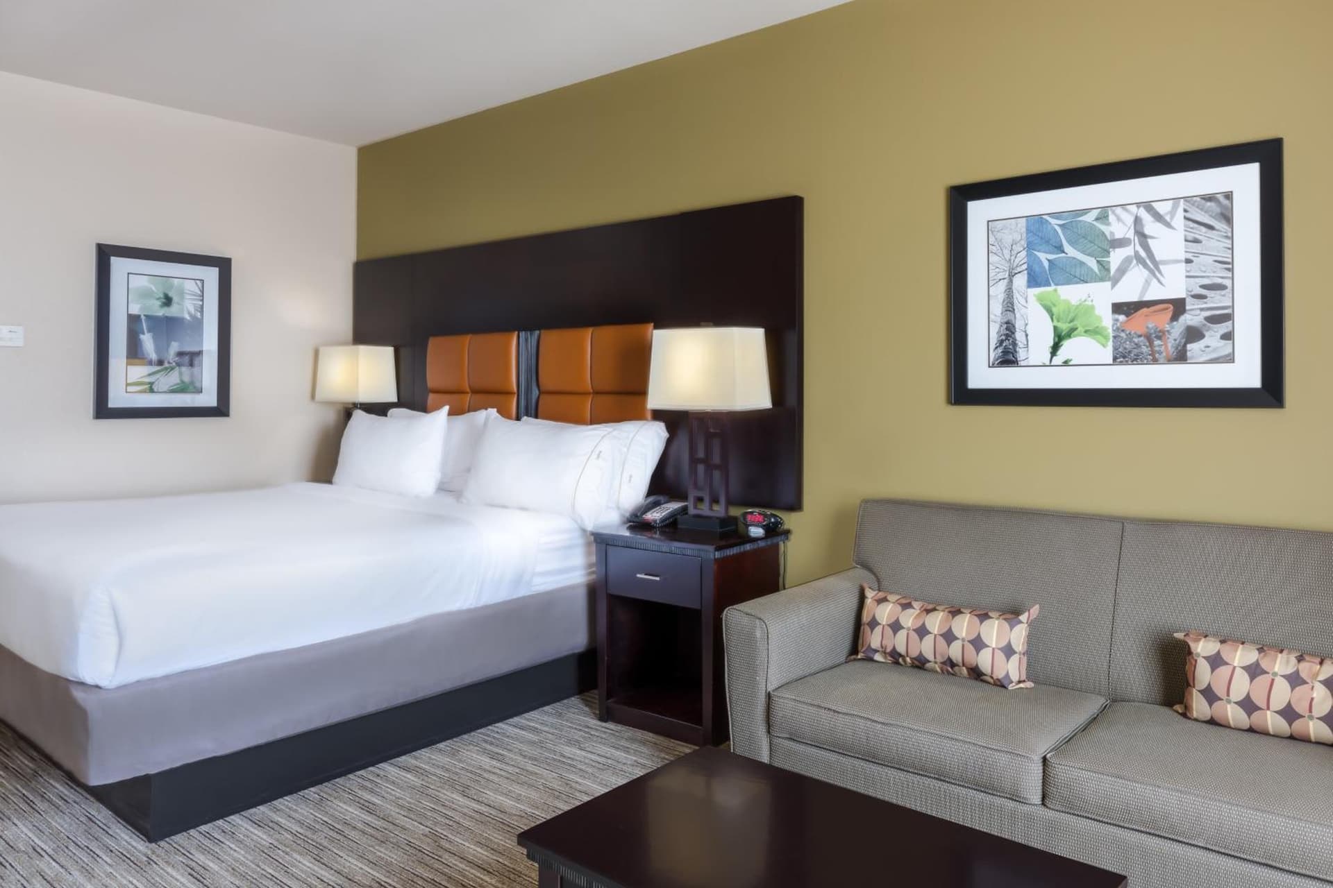 Holiday Inn Express Hotel & Suites Dallas West by IHG gallery photo in Dallas, TX — image 57