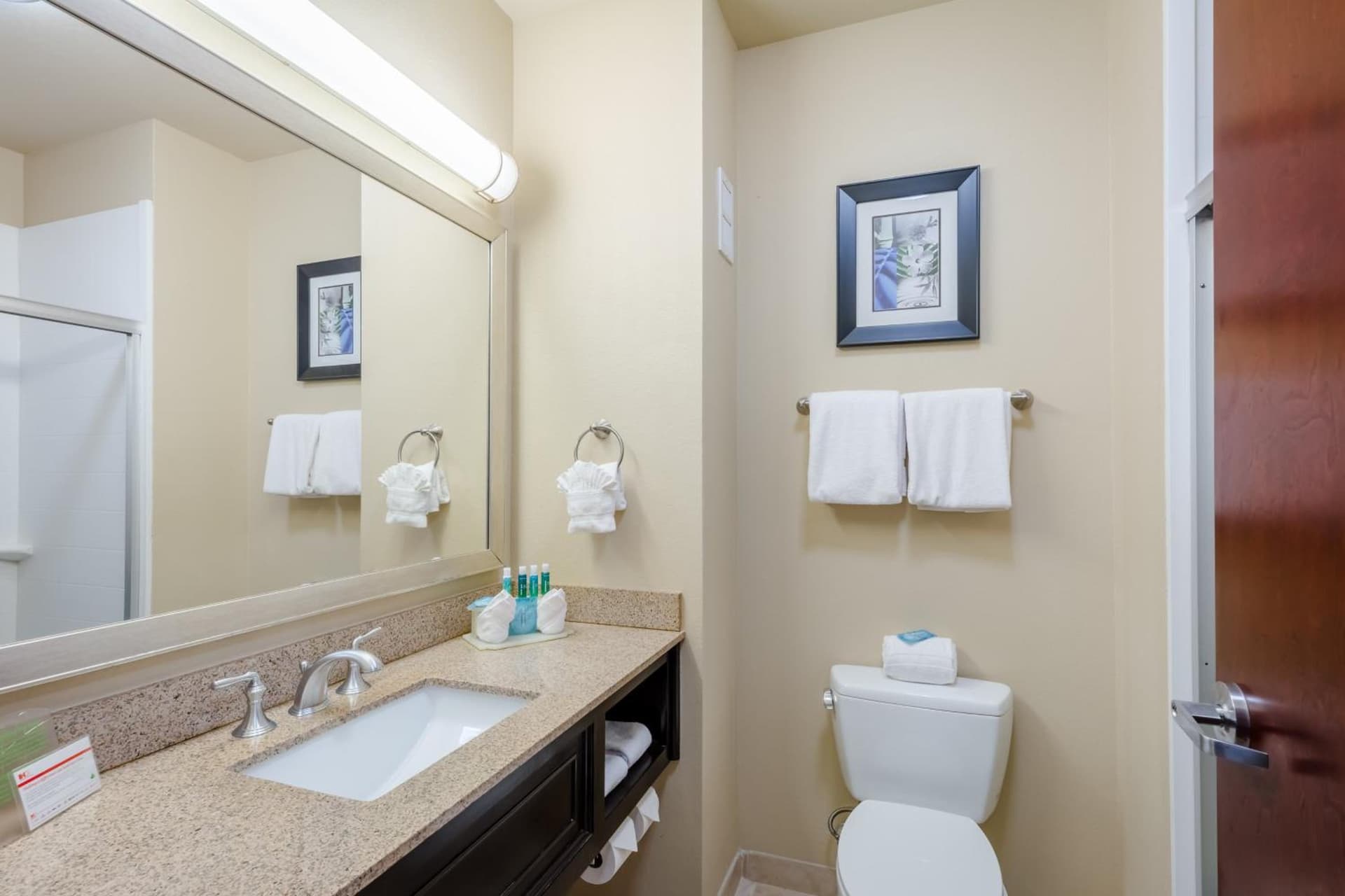 Holiday Inn Express Hotel & Suites Dallas West by IHG gallery photo in Dallas, TX — image 5