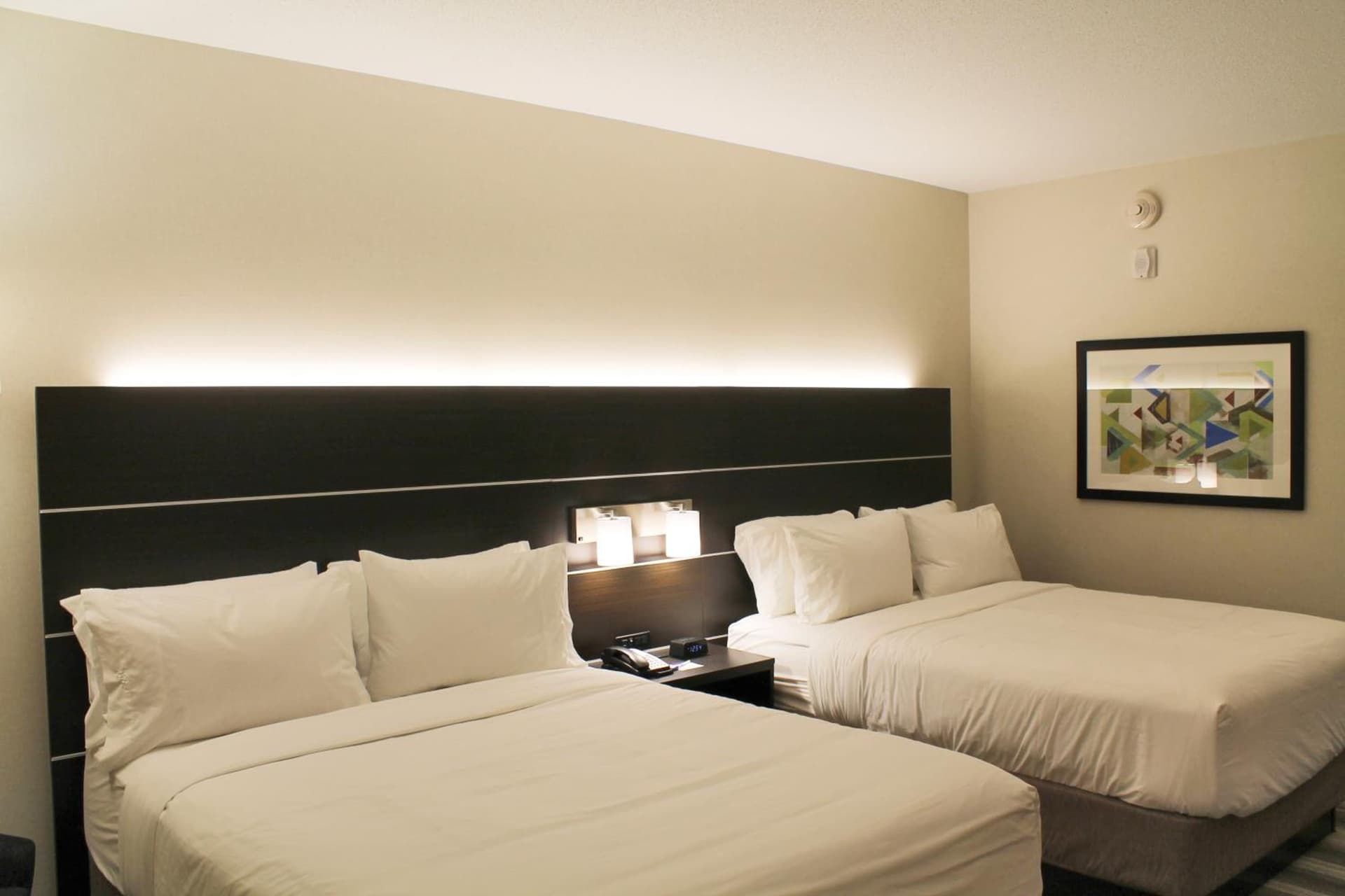 Holiday Inn Express & Suites - St. Louis South - I-55 by IHG gallery photo in Mattese, MO — image 38