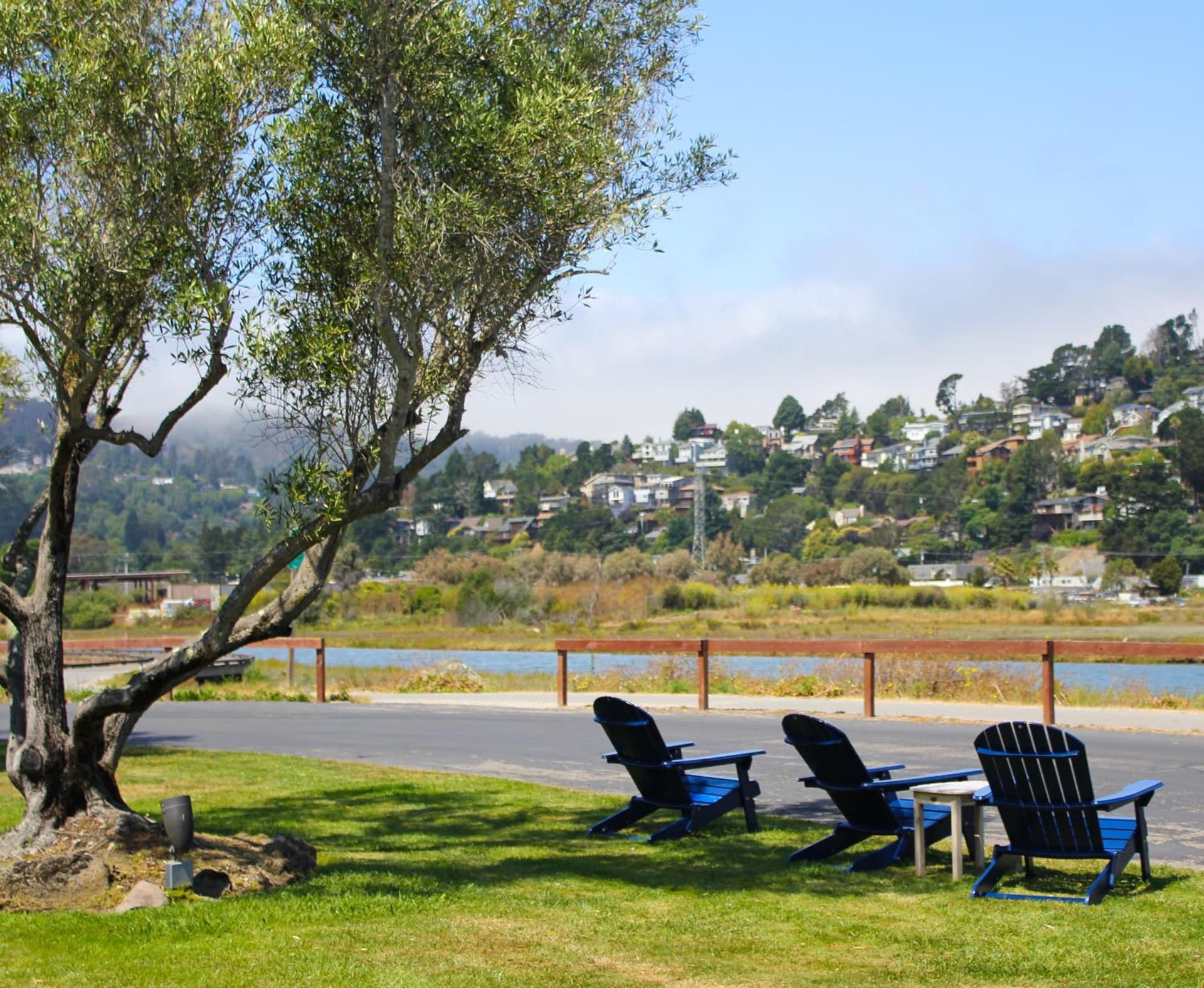 Holiday Inn Express Mill Valley San Francisco Area by IHG gallery photo in Mill Valley, CA — image 25