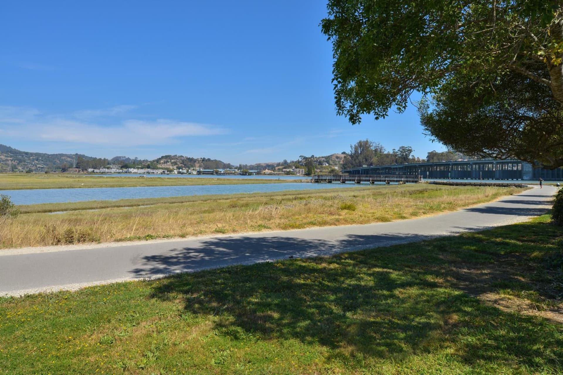 Holiday Inn Express Mill Valley San Francisco Area by IHG gallery photo in Mill Valley, CA — image 9