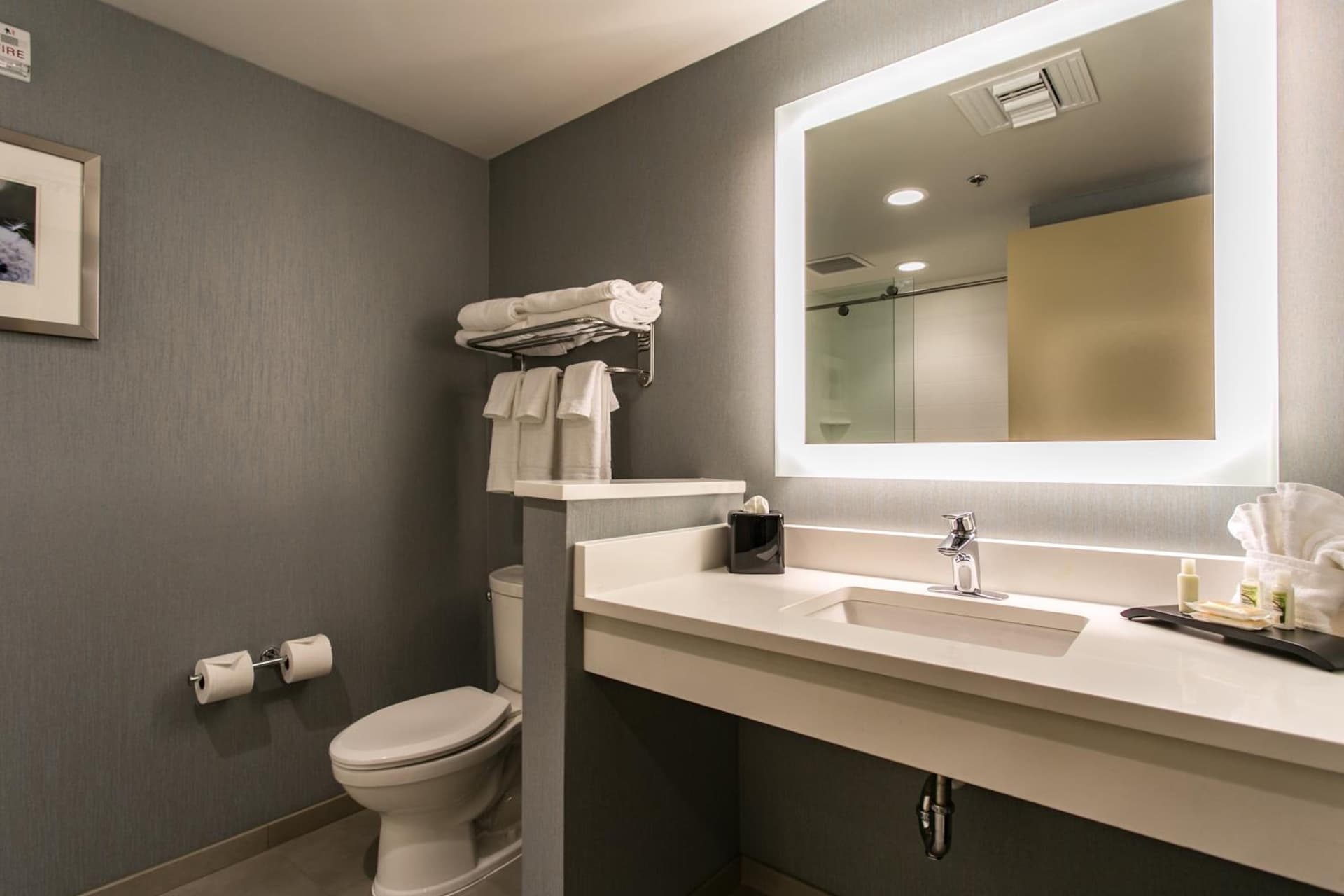 Holiday Inn & Suites Chattanooga Downtown by IHG gallery photo in Chattanooga, TN — image 31