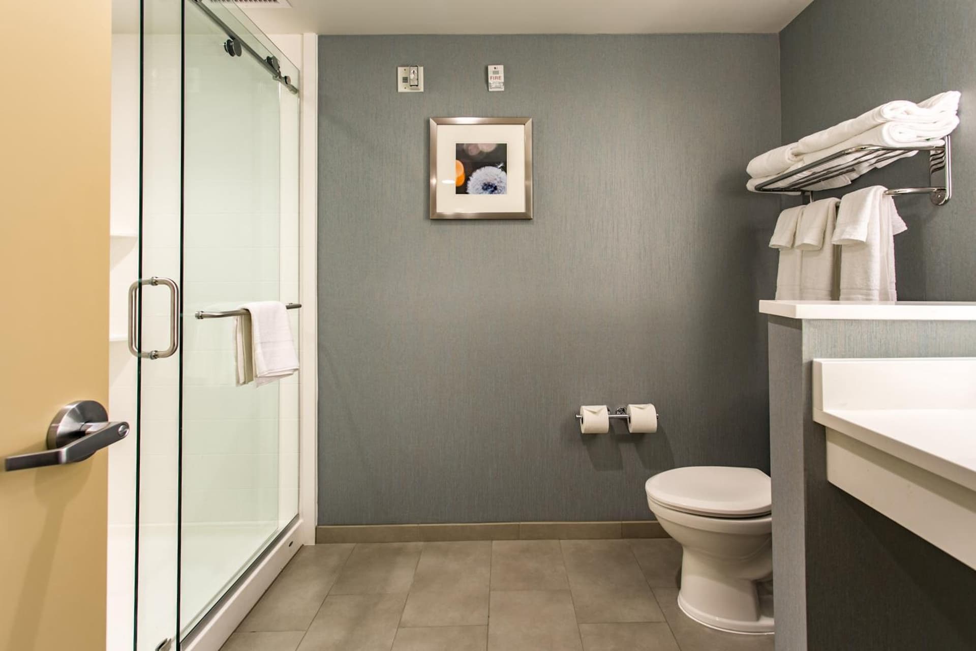 Holiday Inn & Suites Chattanooga Downtown by IHG gallery photo in Chattanooga, TN — image 50