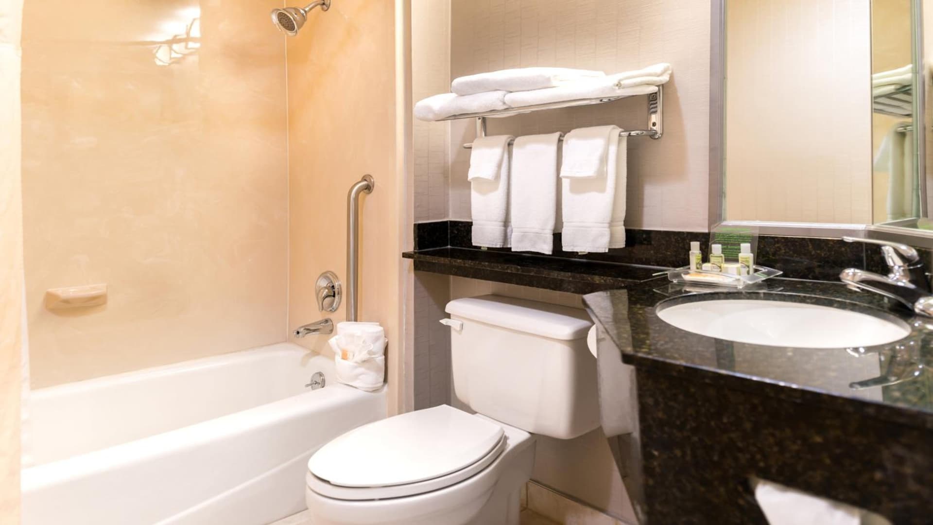 Holiday Inn Hotel & Suites Warren by IHG gallery photo in Warren, MI — image 8