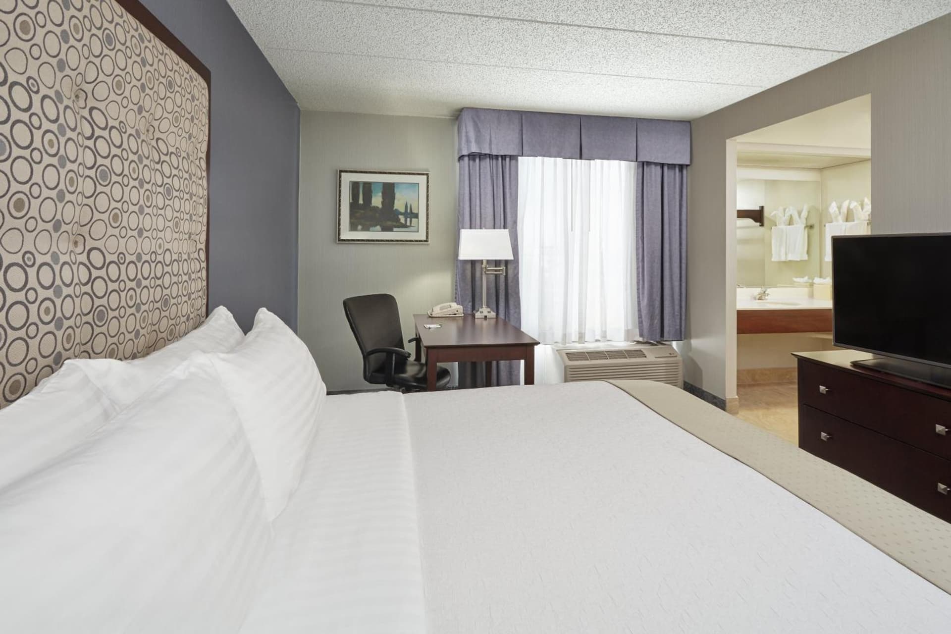 Holiday Inn & Suites Chicago-Carol Stream Wheaton by IHG gallery photo in Carol Stream, IL — image 39