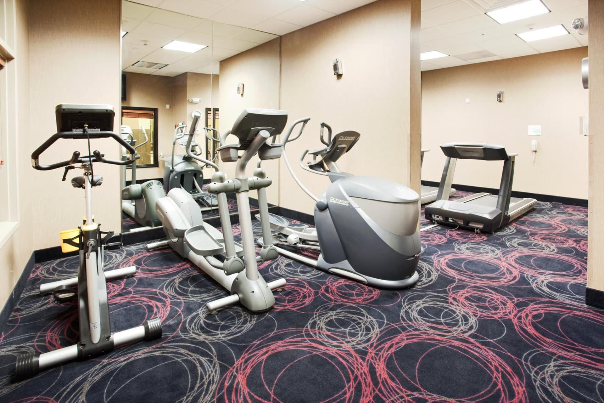 Holiday Inn & Suites Grand Junction-Airport by IHG gallery photo in Grand Junction, CO — image 21