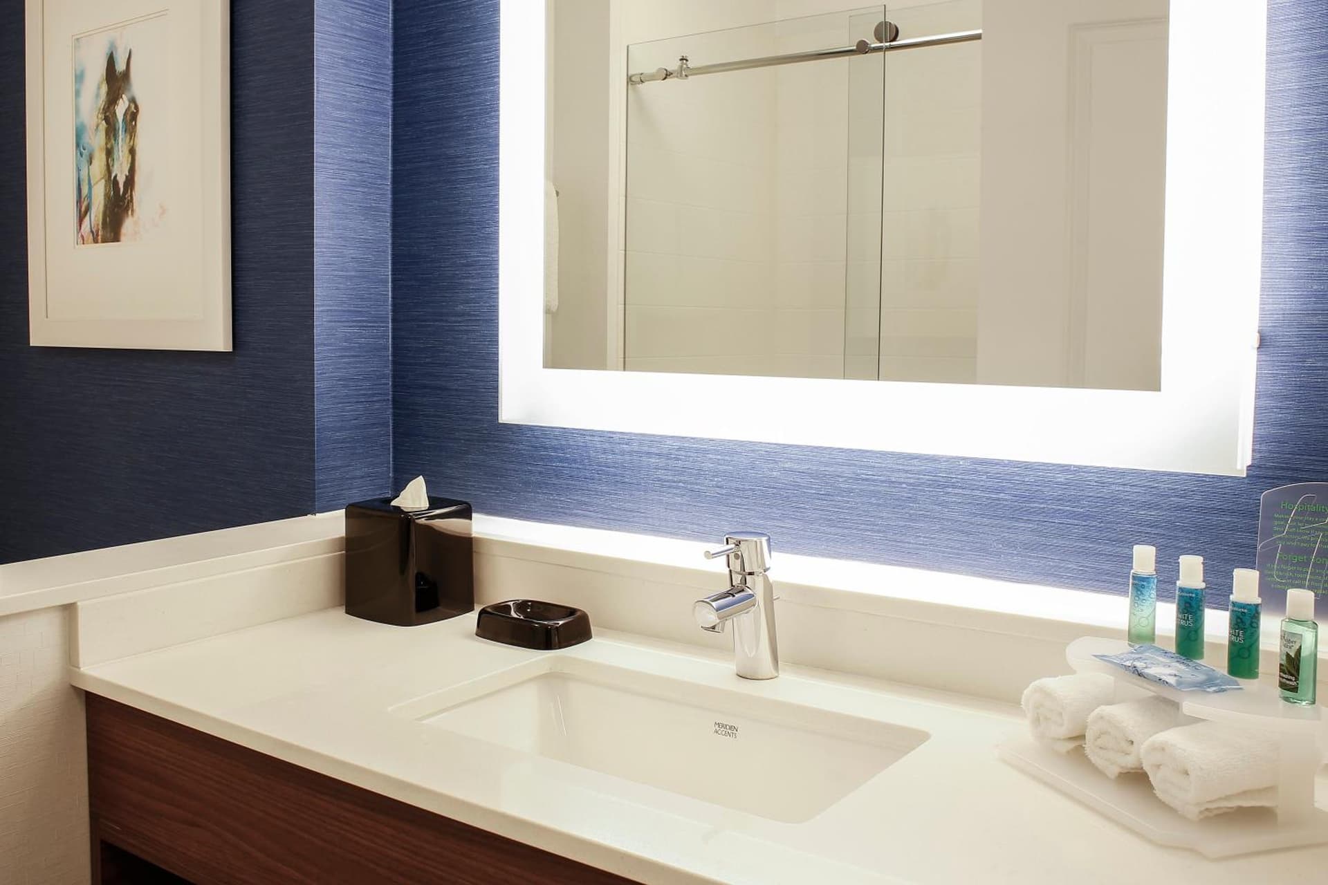 Holiday Inn Express & Suites Downtown Louisville by IHG gallery photo in Louisville, KY — image 5