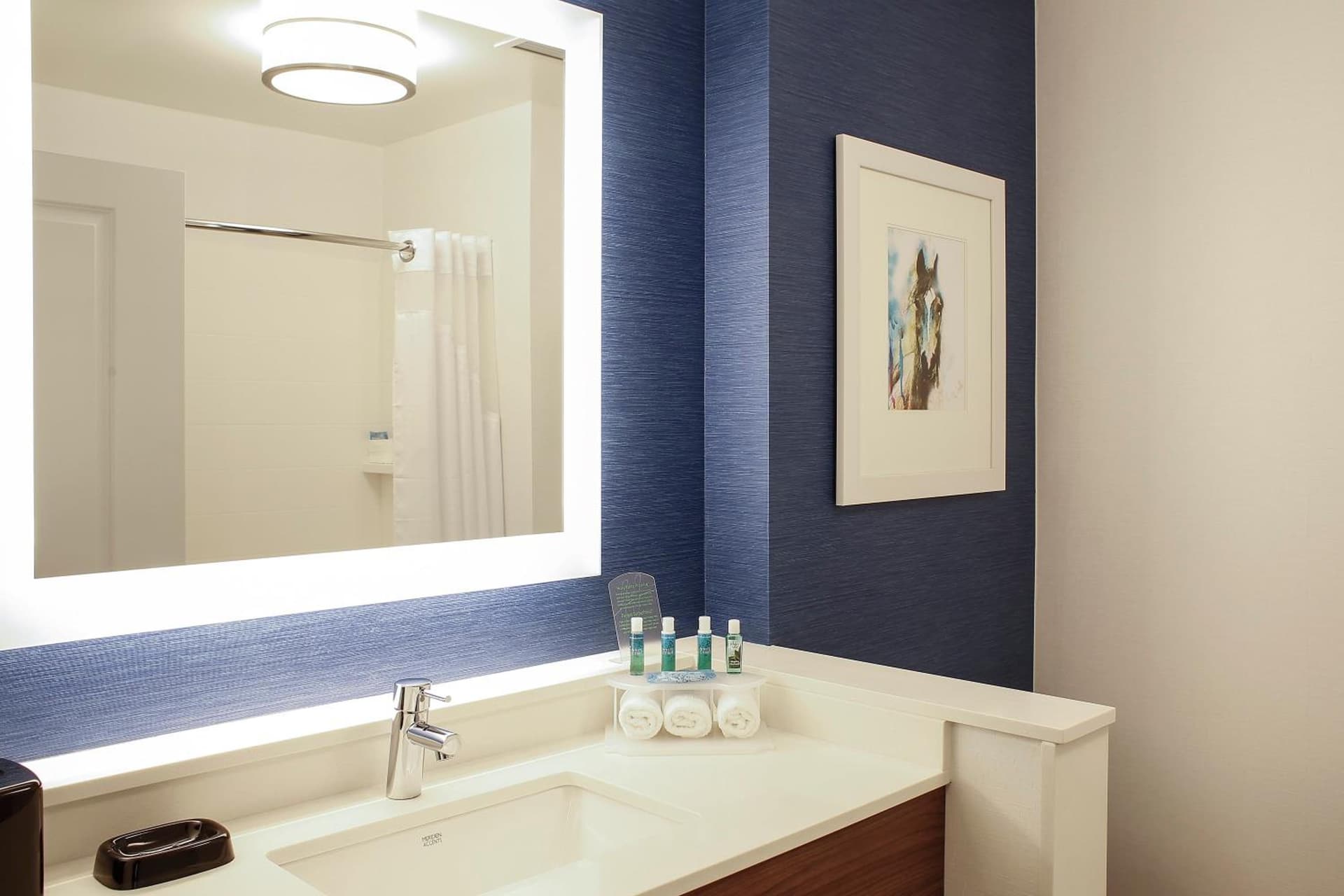 Holiday Inn Express & Suites Downtown Louisville by IHG gallery photo in Louisville, KY — image 17