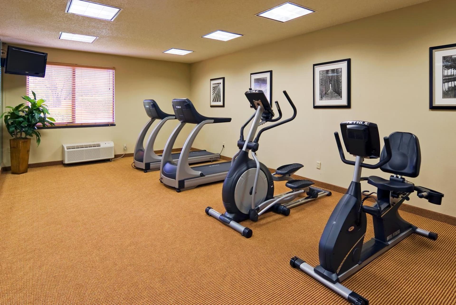 Holiday Inn Express Hotel & Suites Kendall East-Miami by IHG interior in Kendall, FL — gallery photo 2
