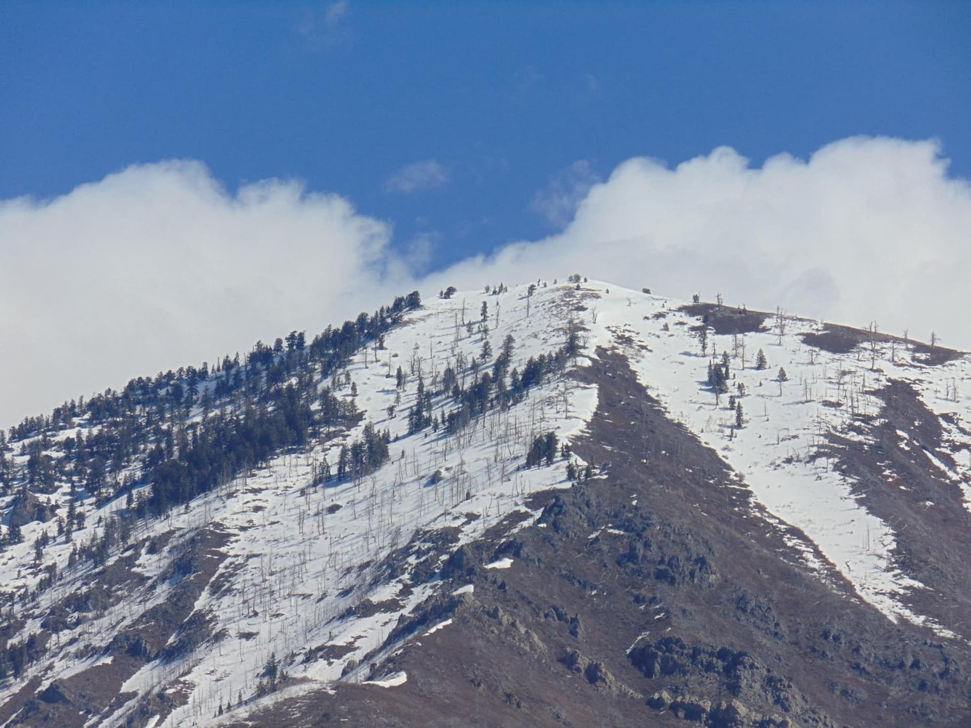 Holiday Inn Express & Suites Springville-South Provo Area by IHG gallery photo in Springville, UT — image 19