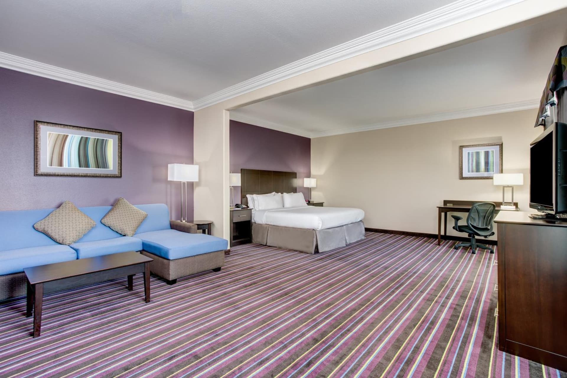 Holiday Inn Express & Suites Raceland - Highway 90 by IHG gallery photo in Raceland, LA — image 31
