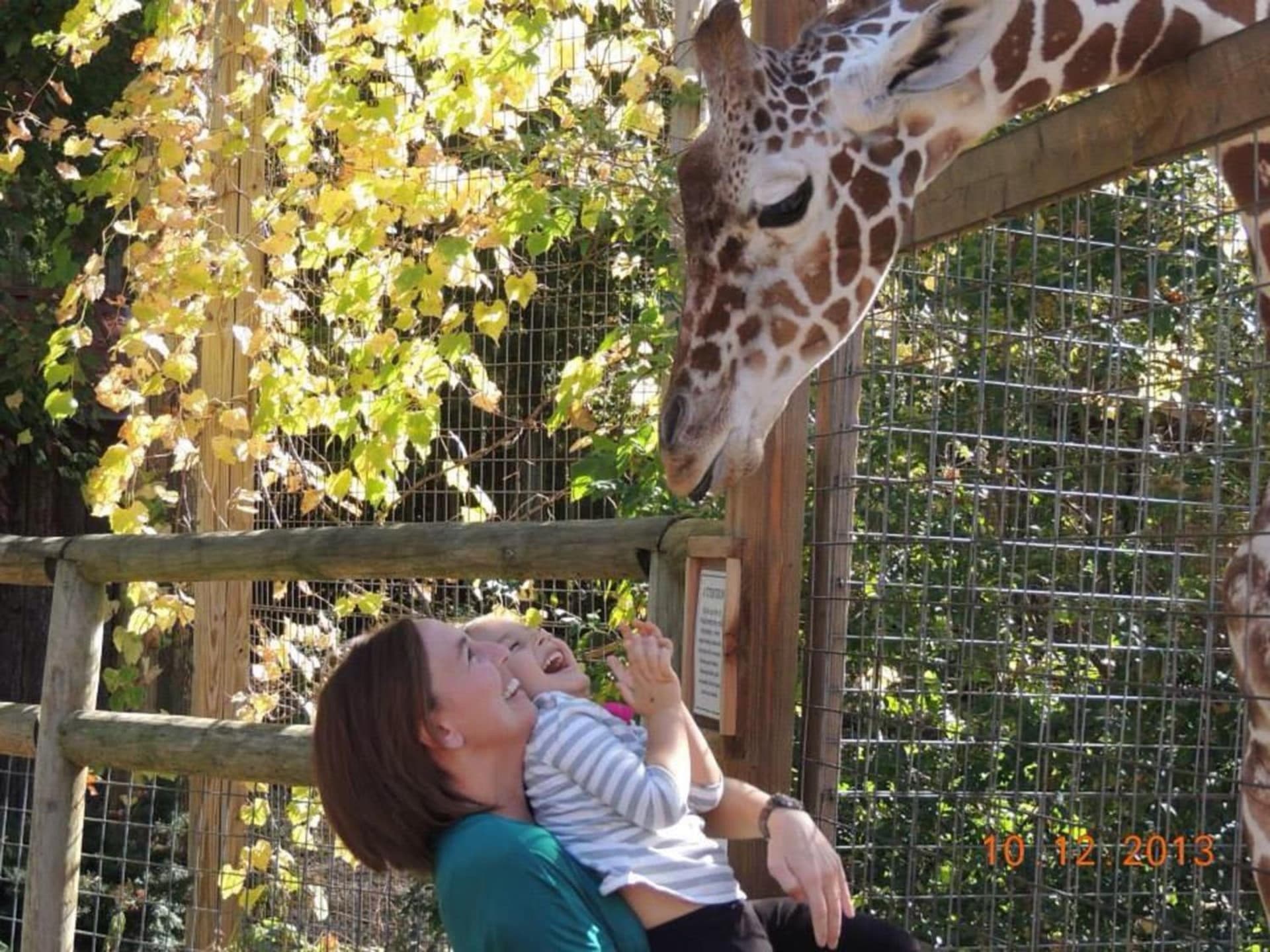 Candlewood Suites Grove City - Outlet Center by IHG gallery photo in Grove City, PA — image 16