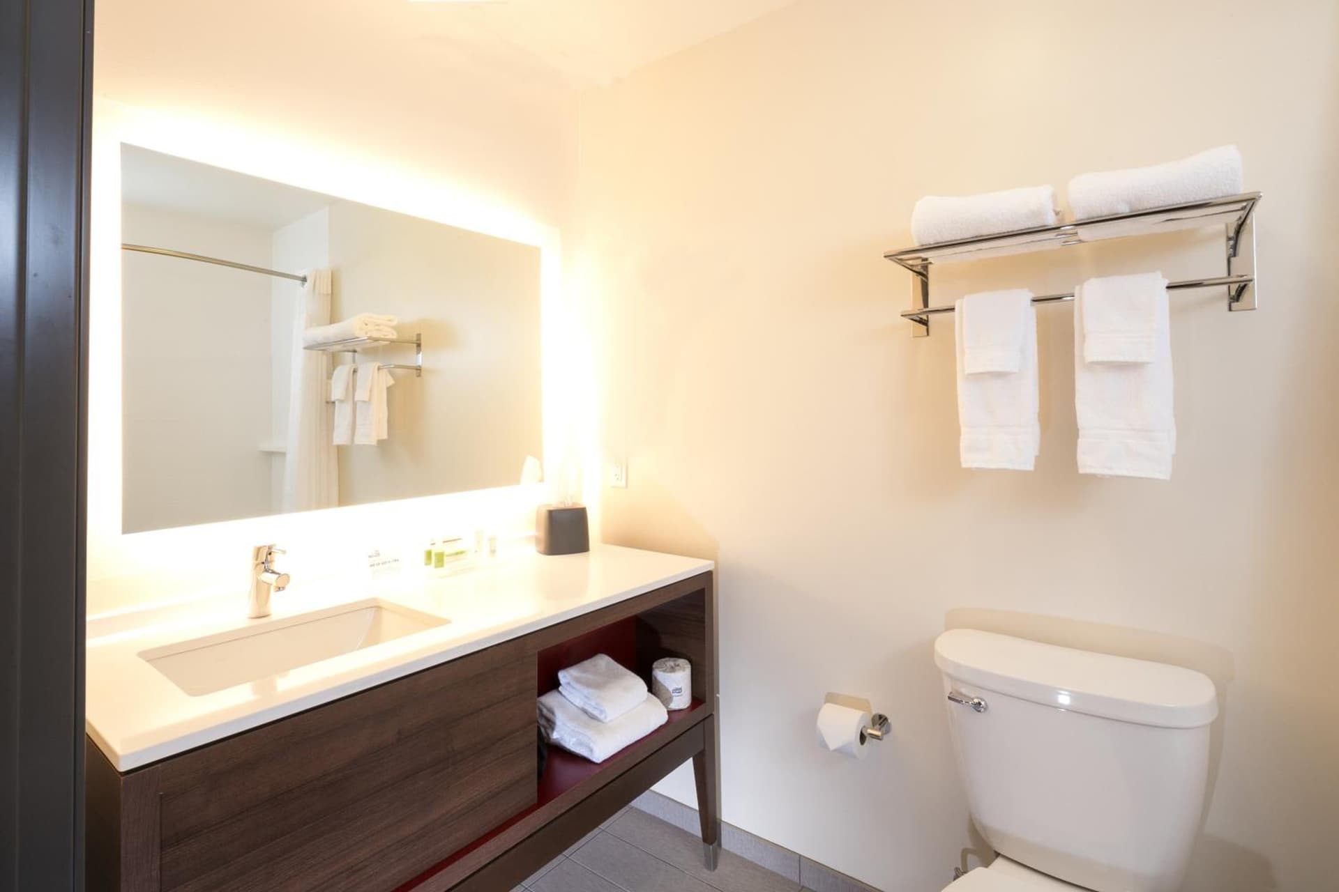 Holiday Inn & Suites Kalamazoo West gallery photo in Kalamazoo, MI — image 5