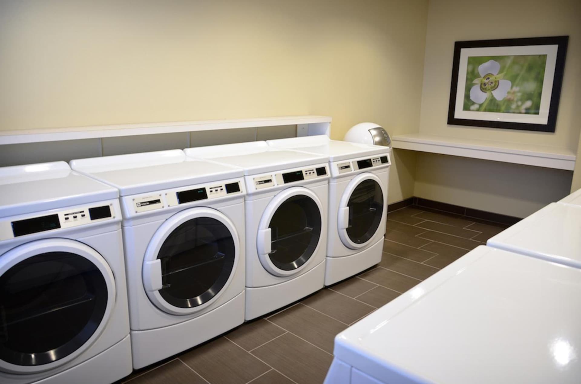 Candlewood Suites Denver Northeast - Brighton by IHG gallery photo in Brighton, CO — image 44