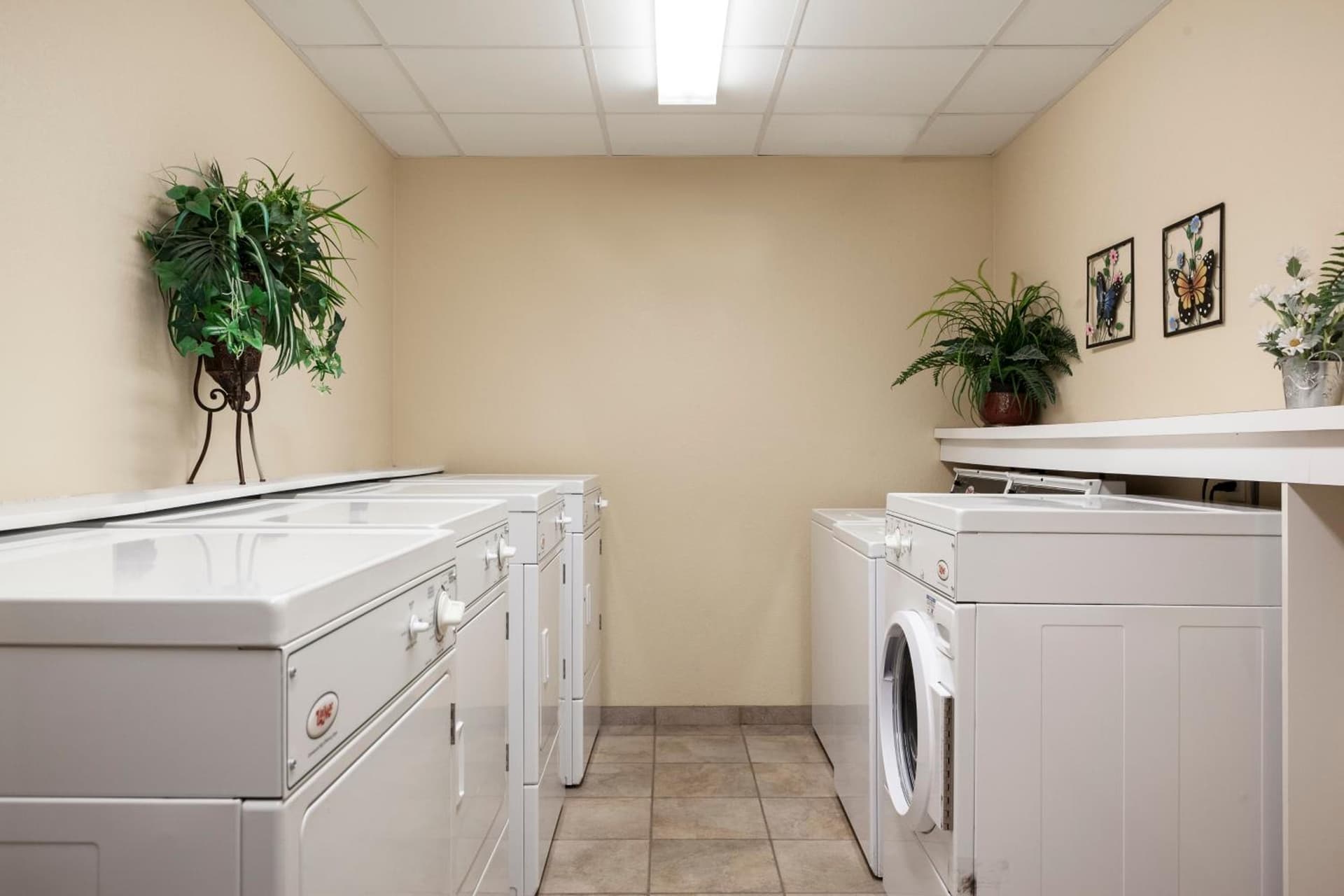 Candlewood Suites La Crosse N by IHG gallery photo in La Crosse, WI — image 16