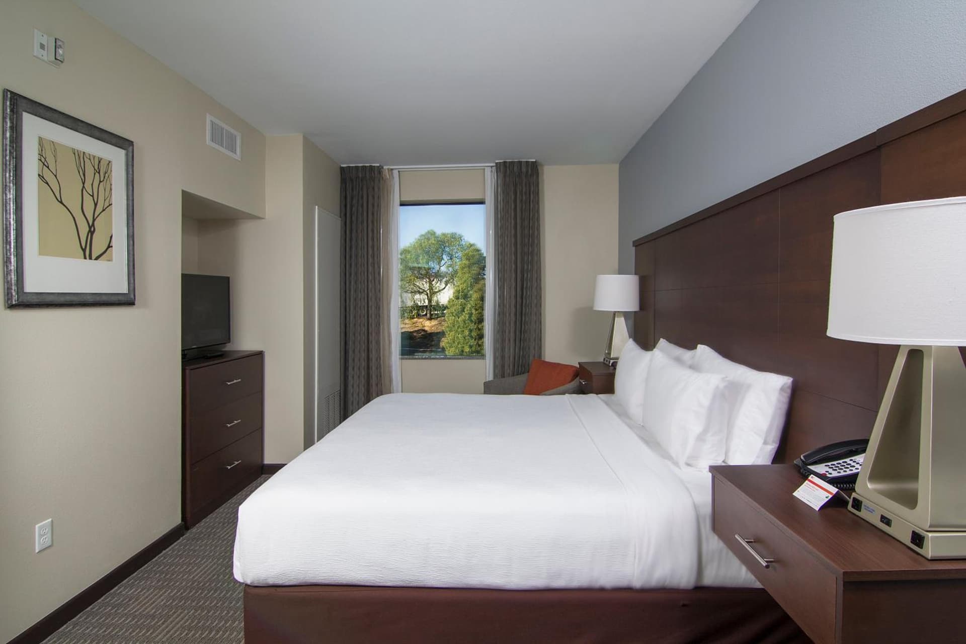 Staybridge Suites Carlsbad/San Diego by IHG gallery photo in Carlsbad, CA — image 74