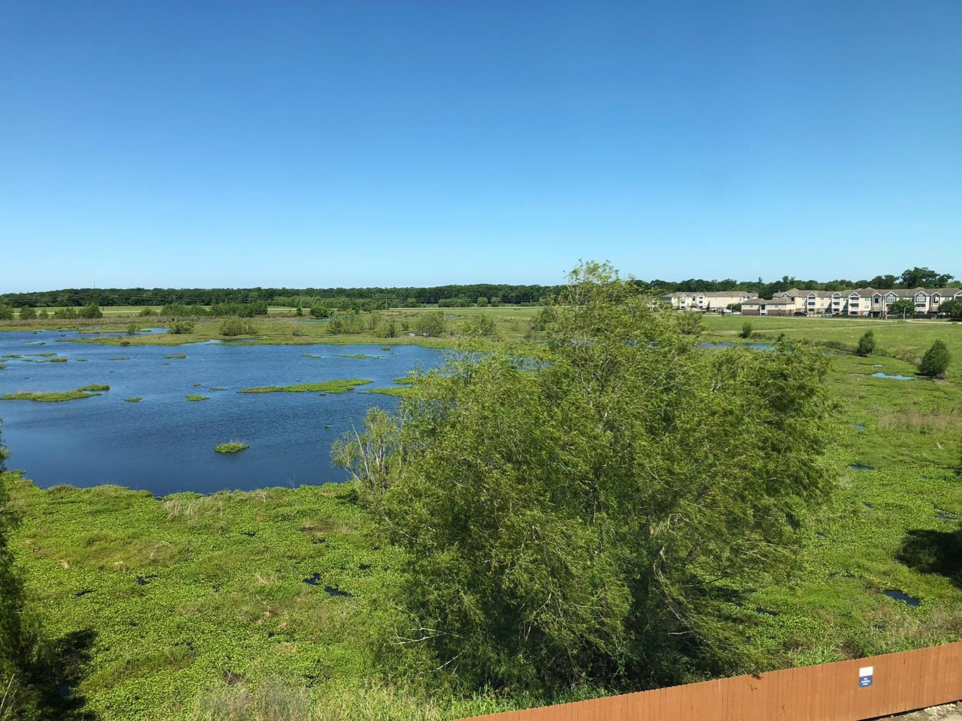 Candlewood Suites Houma by IHG property views in Houma, LA — gallery photo 3