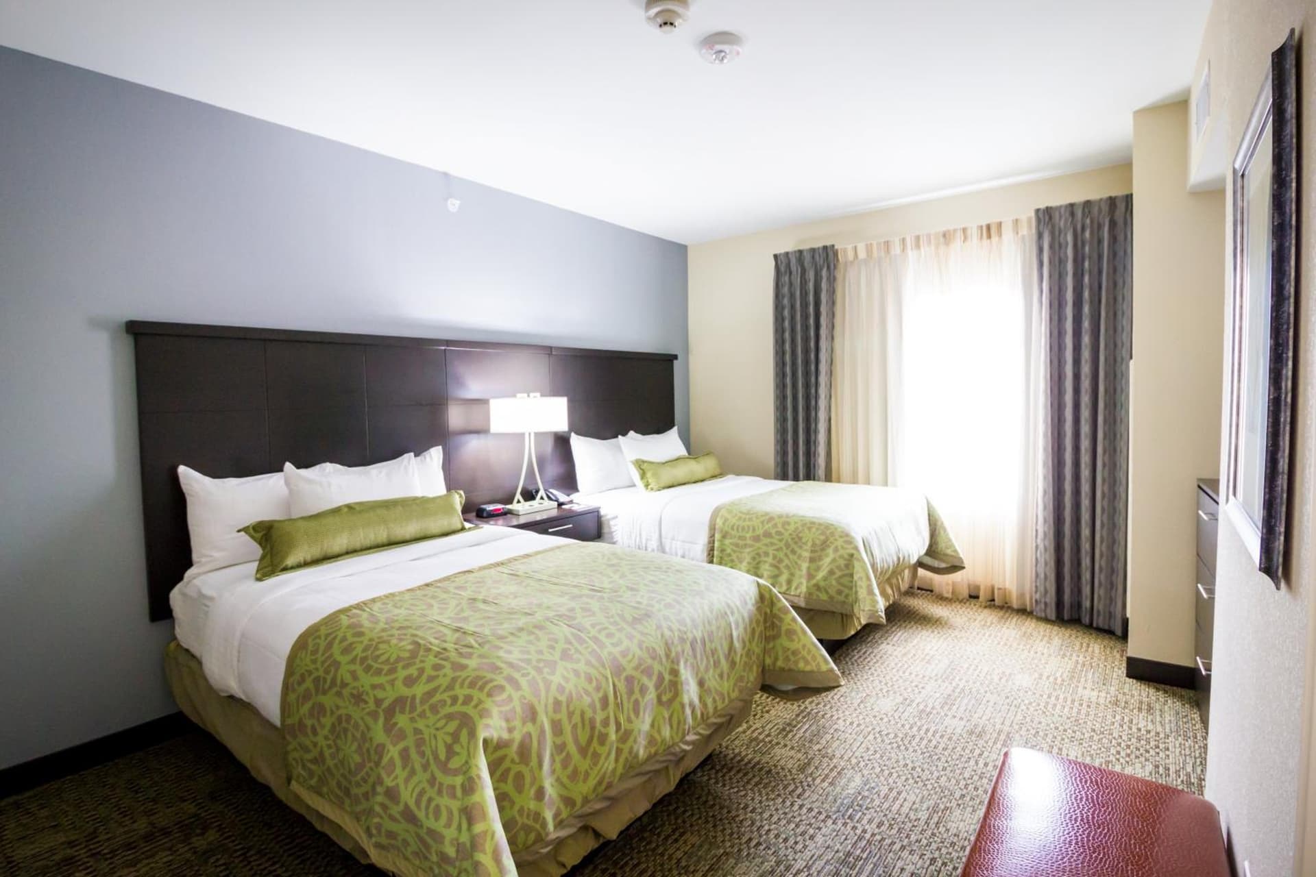 Staybridge Suites Plano North - Frisco by IHG gallery photo in Frisco, TX — image 7