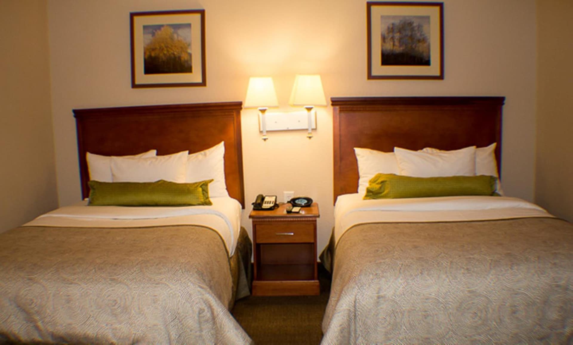 Candlewood Suites Jacksonville by IHG gallery photo in Jacksonville, NC — image 31