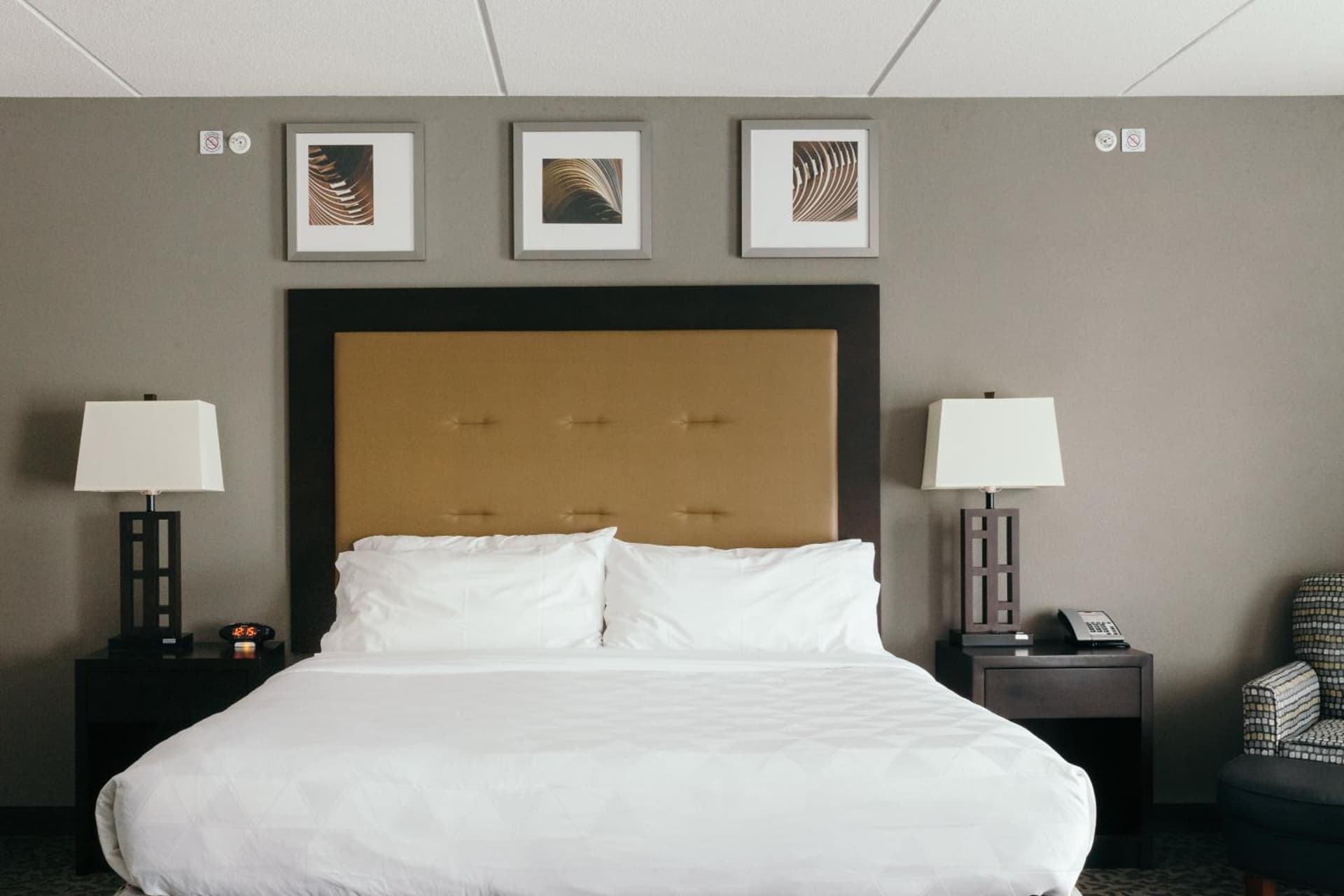 Holiday Inn and Suites East Peoria by IHG gallery photo in Peoria, IL — image 82
