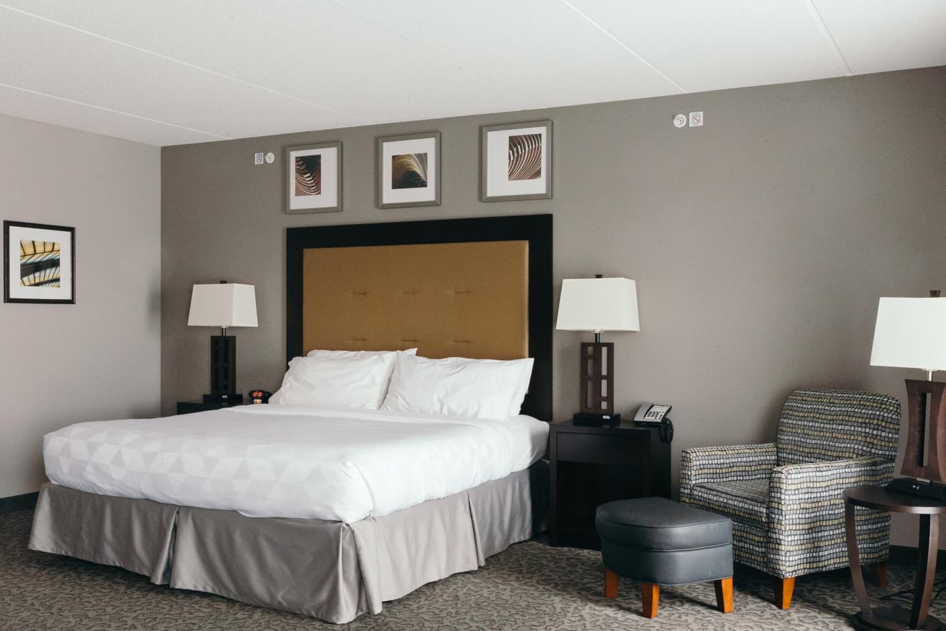 Holiday Inn and Suites East Peoria by IHG gallery photo in Peoria, IL — image 41