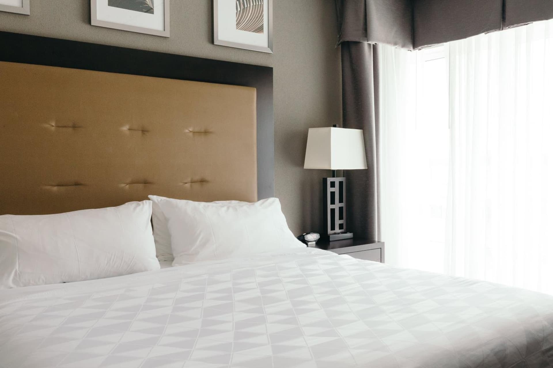 Holiday Inn and Suites East Peoria by IHG gallery photo in Peoria, IL — image 24