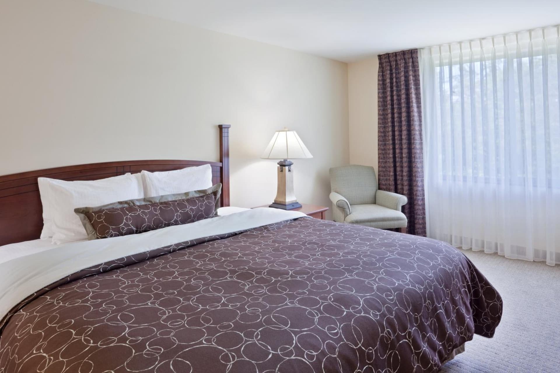 Staybridge Suites Everett - Paine Field by IHG gallery photo in Mukilteo, WA — image 30