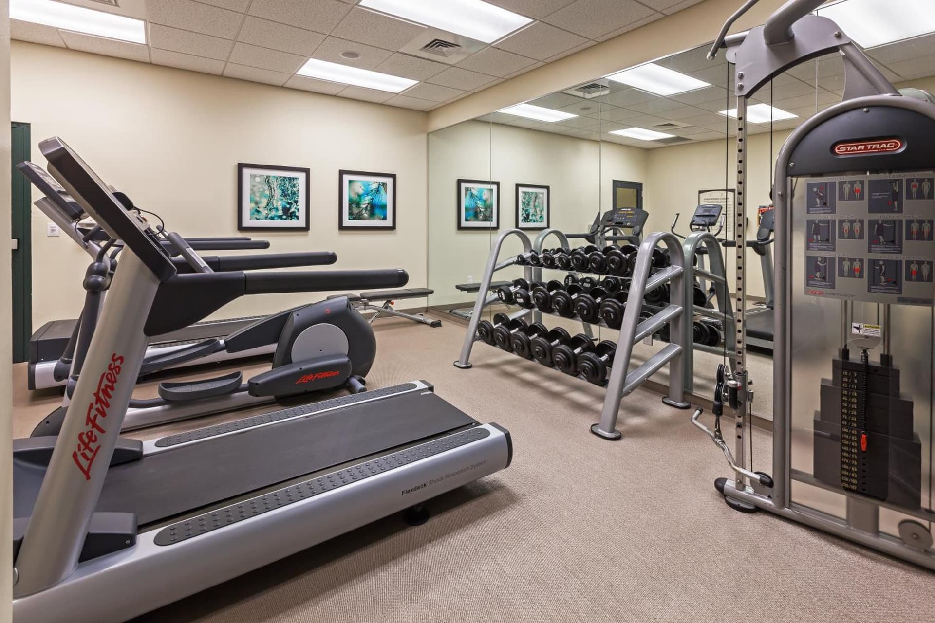 Staybridge Suites San Antonio Downtown Convention Center by IHG gallery photo in San Antonio, TX — image 31