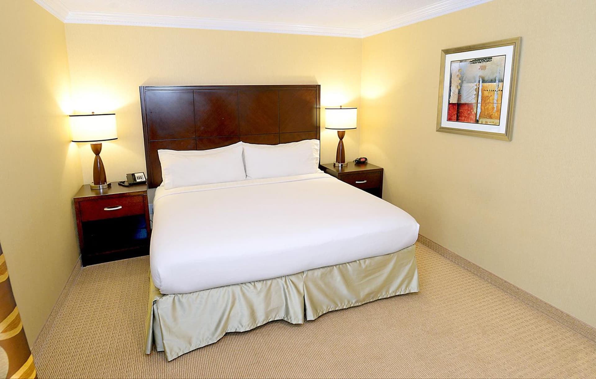 Holiday Inn & Suites San Mateo - SFO by IHG gallery photo in San Mateo, CA — image 23