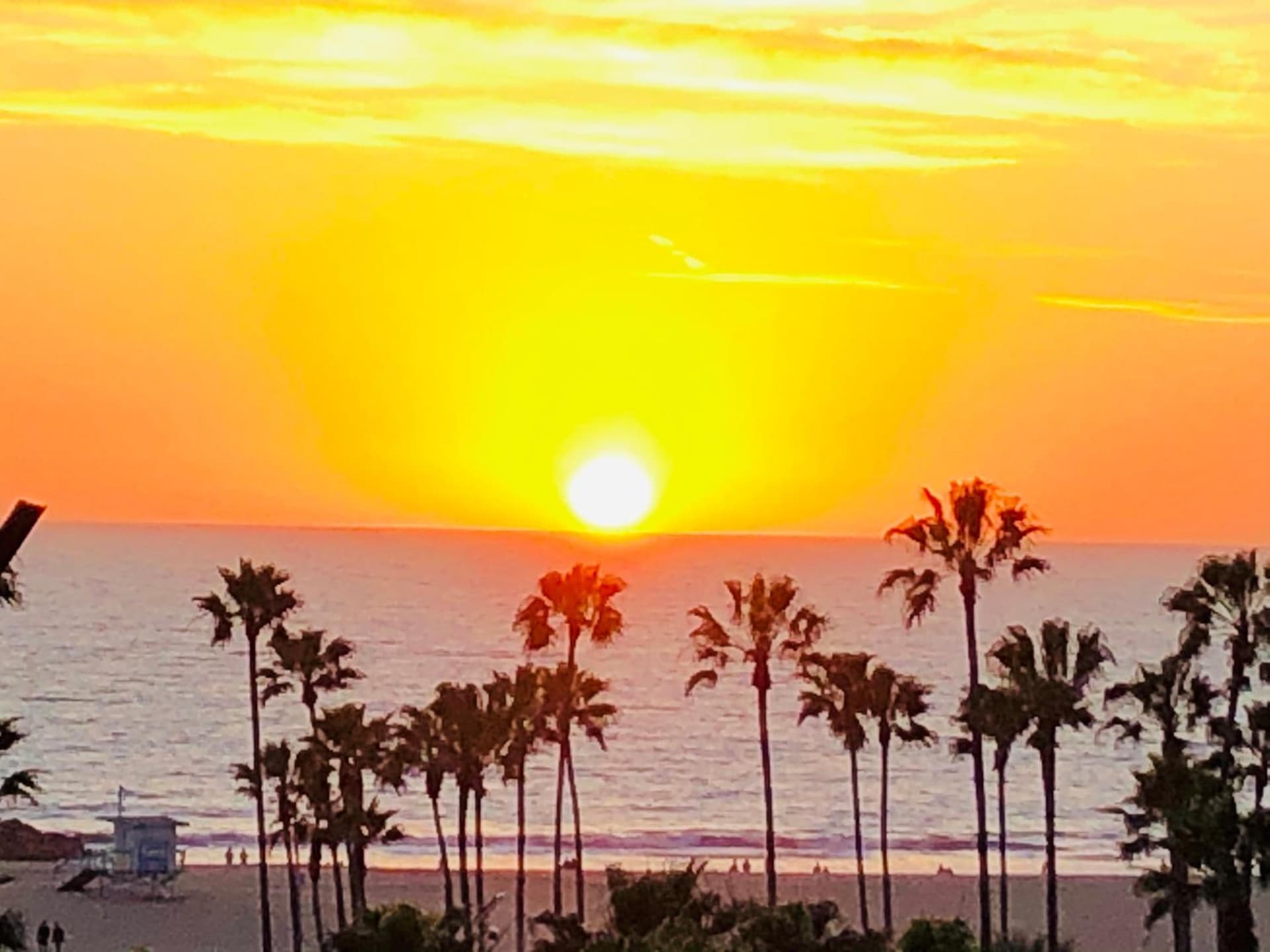 Hotel Erwin Venice Beach gallery photo in Los Angeles, CA — image 44