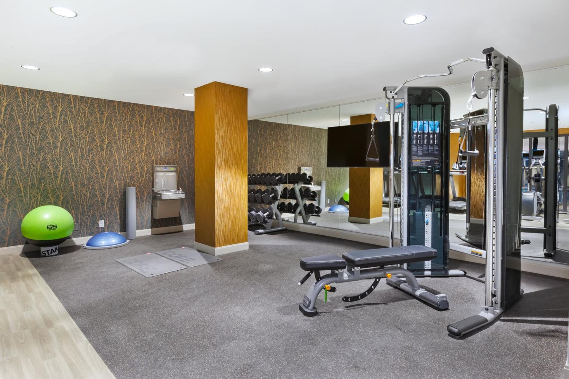 Hotel Indigo Rochester - Mayo Clinic Area by IHG gallery photo in Rochester, MN — image 13