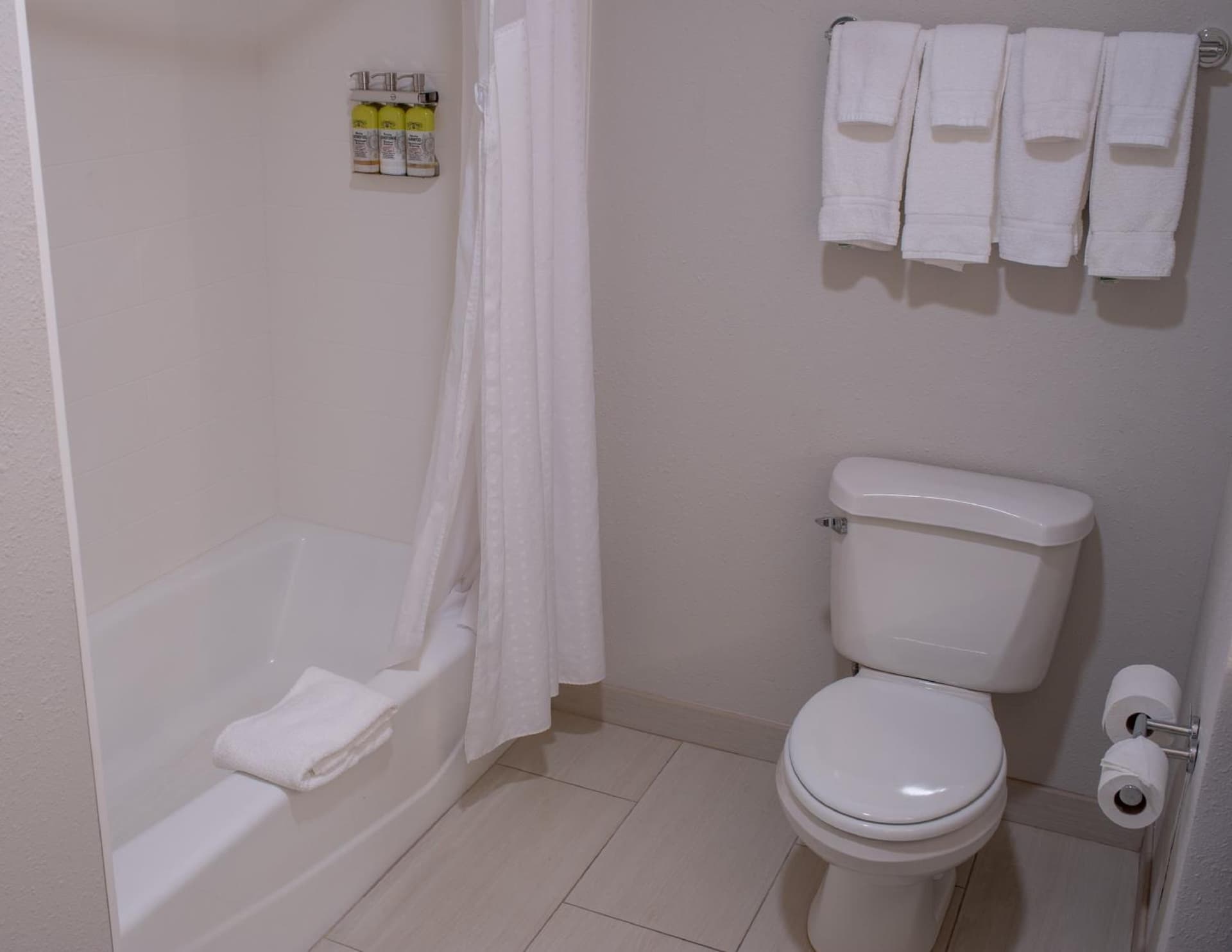 Holiday Inn Express Hotel & Suites Conover - Hickory Area by IHG gallery photo in Conover, NC — image 15