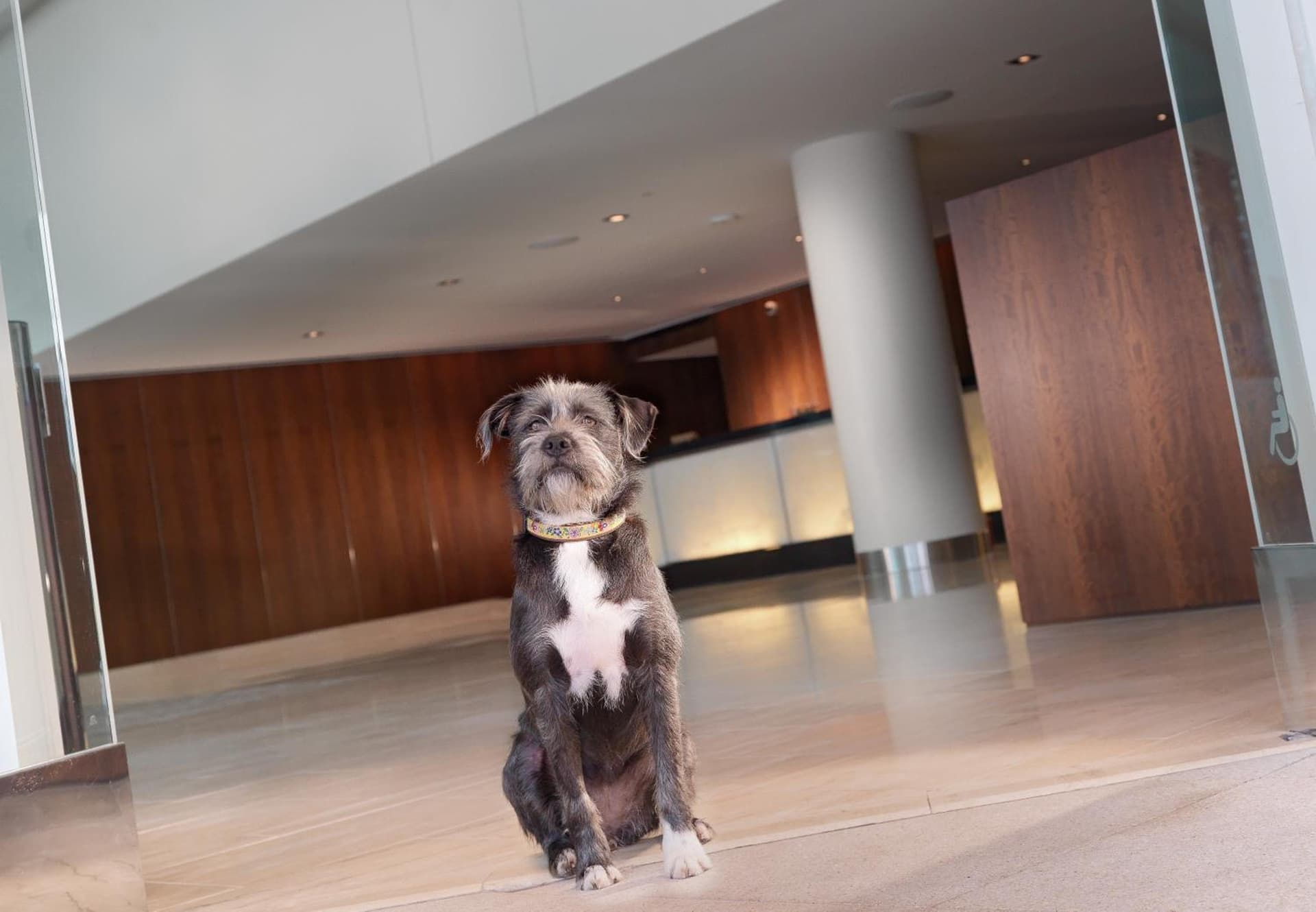 InterContinental San Francisco by IHG gallery photo in San Francisco, CA — image 97