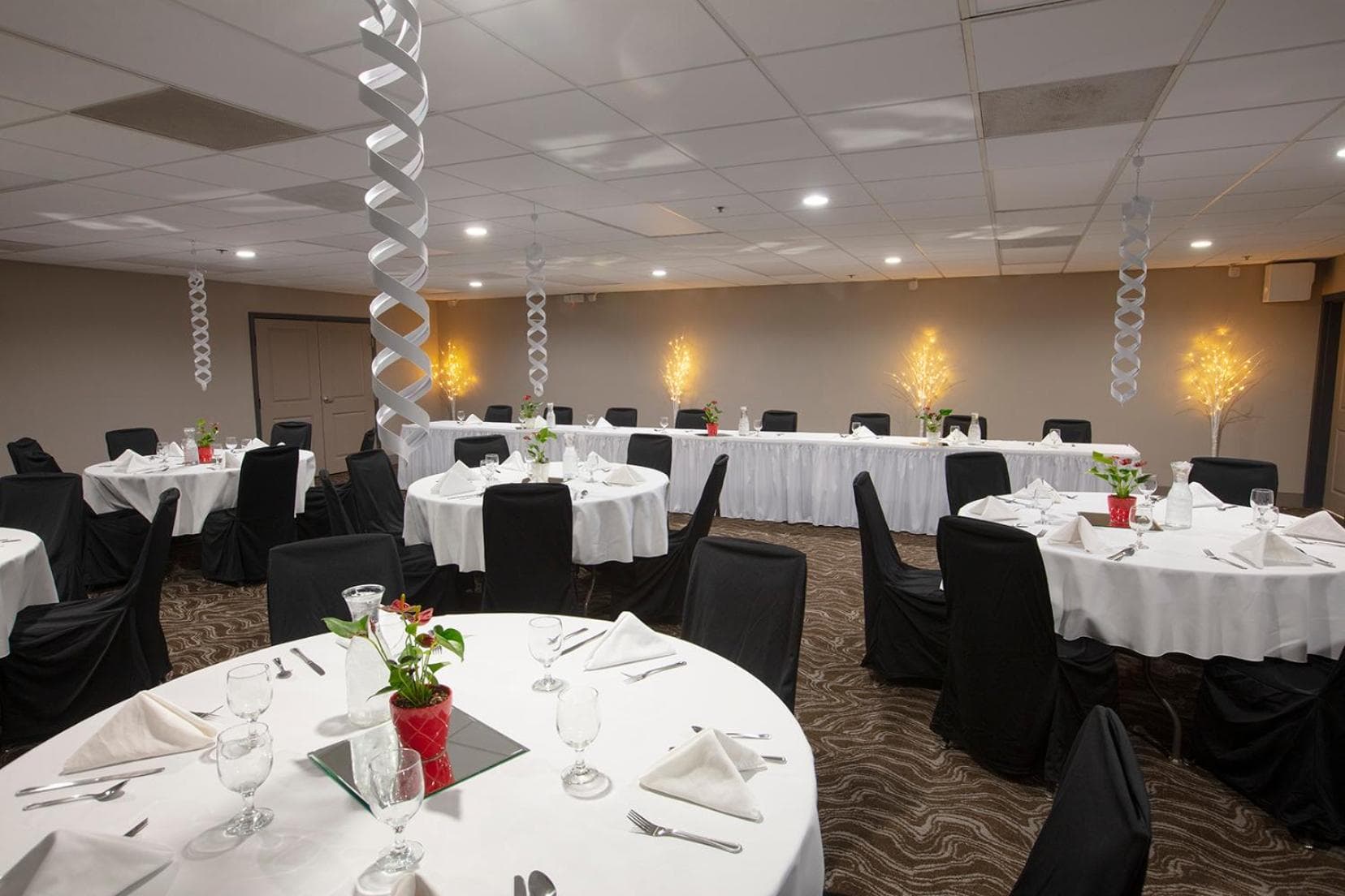 Country Inn & Suites by Radisson, Fargo, ND gallery photo in Fargo, ND — image 52