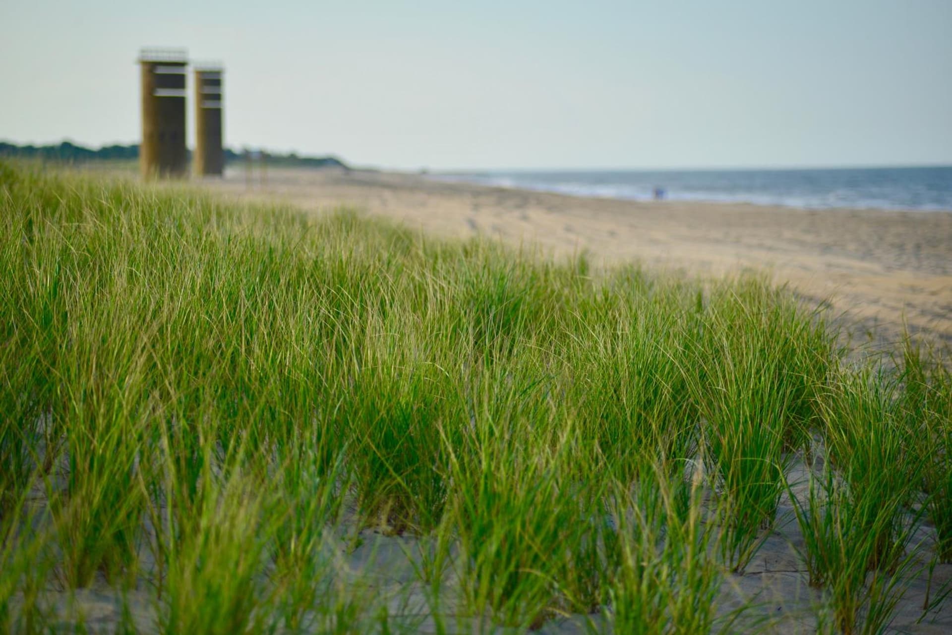 Atlantic Oceanside Dewey gallery photo in Dewey Beach, DE — image 34