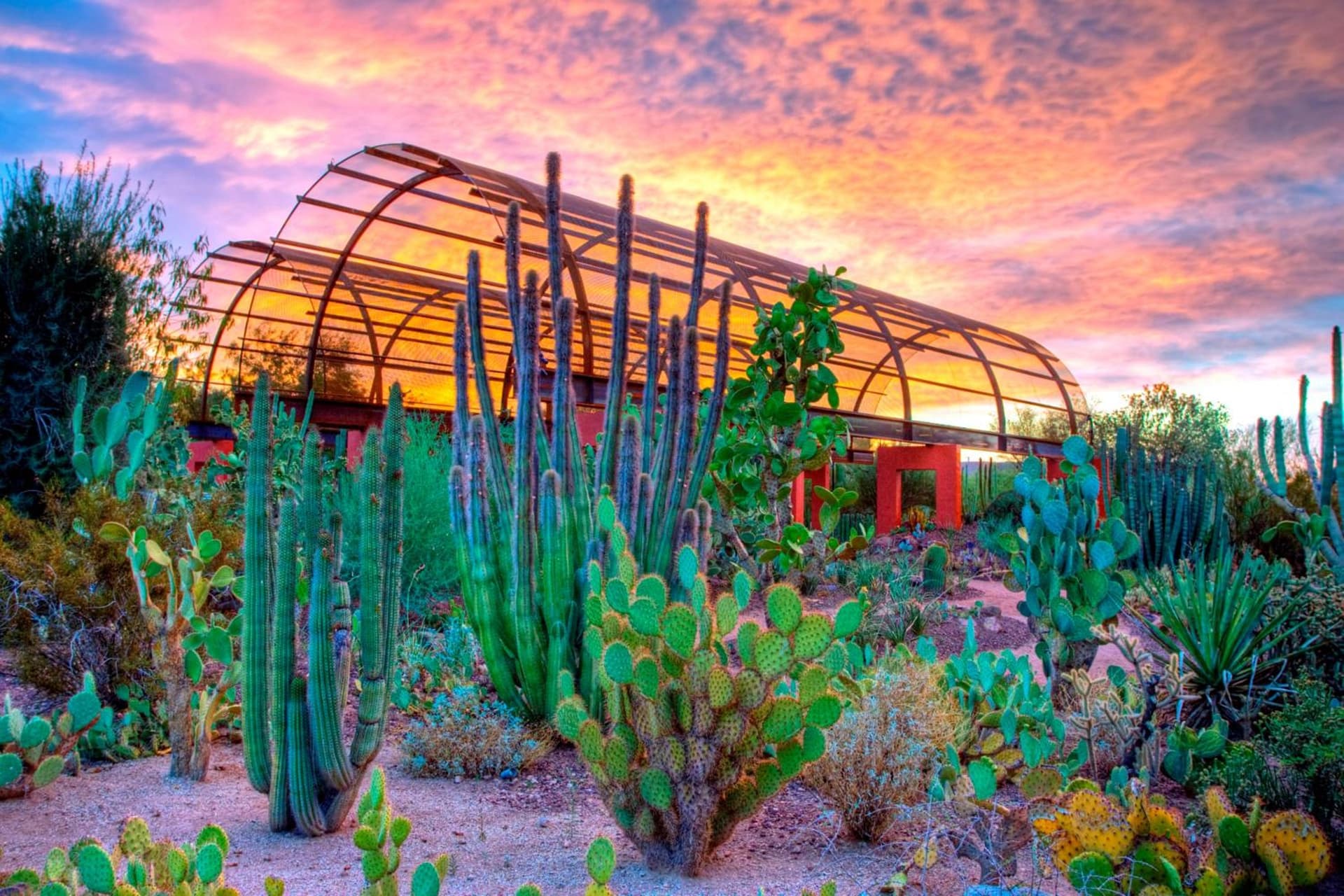 Holiday Inn Express & Suites - Phoenix - Airport North by IHG gallery photo in Phoenix, AZ — image 7