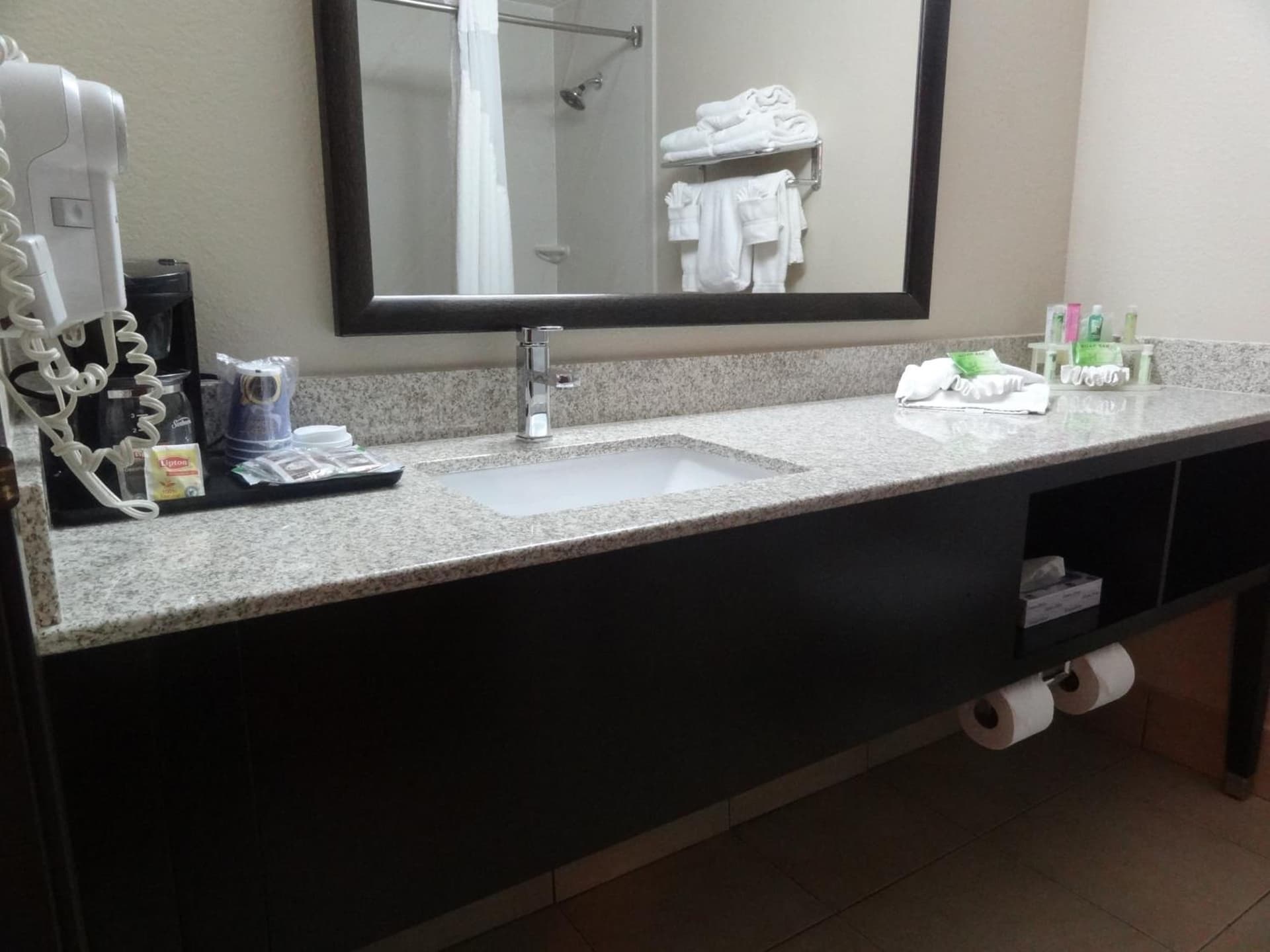 Holiday Inn Express Hotel & Suites Orange City - Deltona by IHG gallery photo in Orange City, FL — image 42