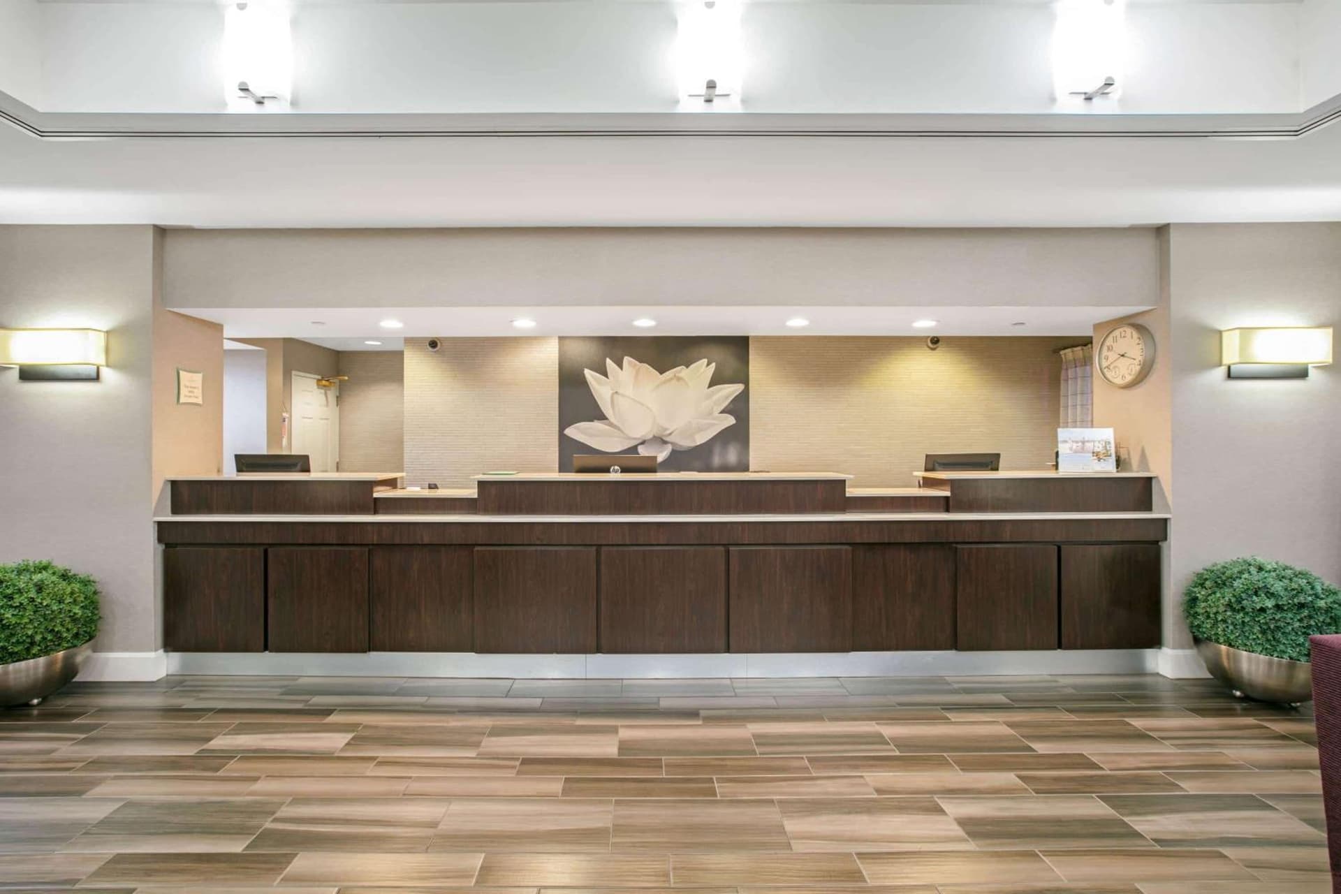 La Quinta by Wyndham DFW Airport South / Irving gallery photo in Irving, TX — image 18