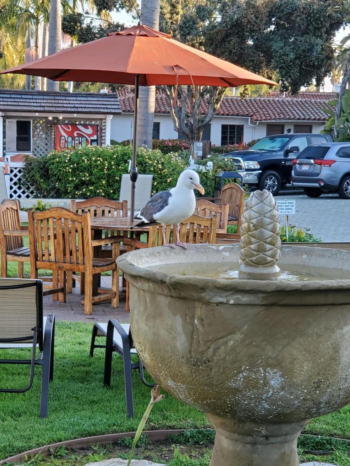 Marina Beach Hotel interior in Santa Barbara, CA — gallery photo 2