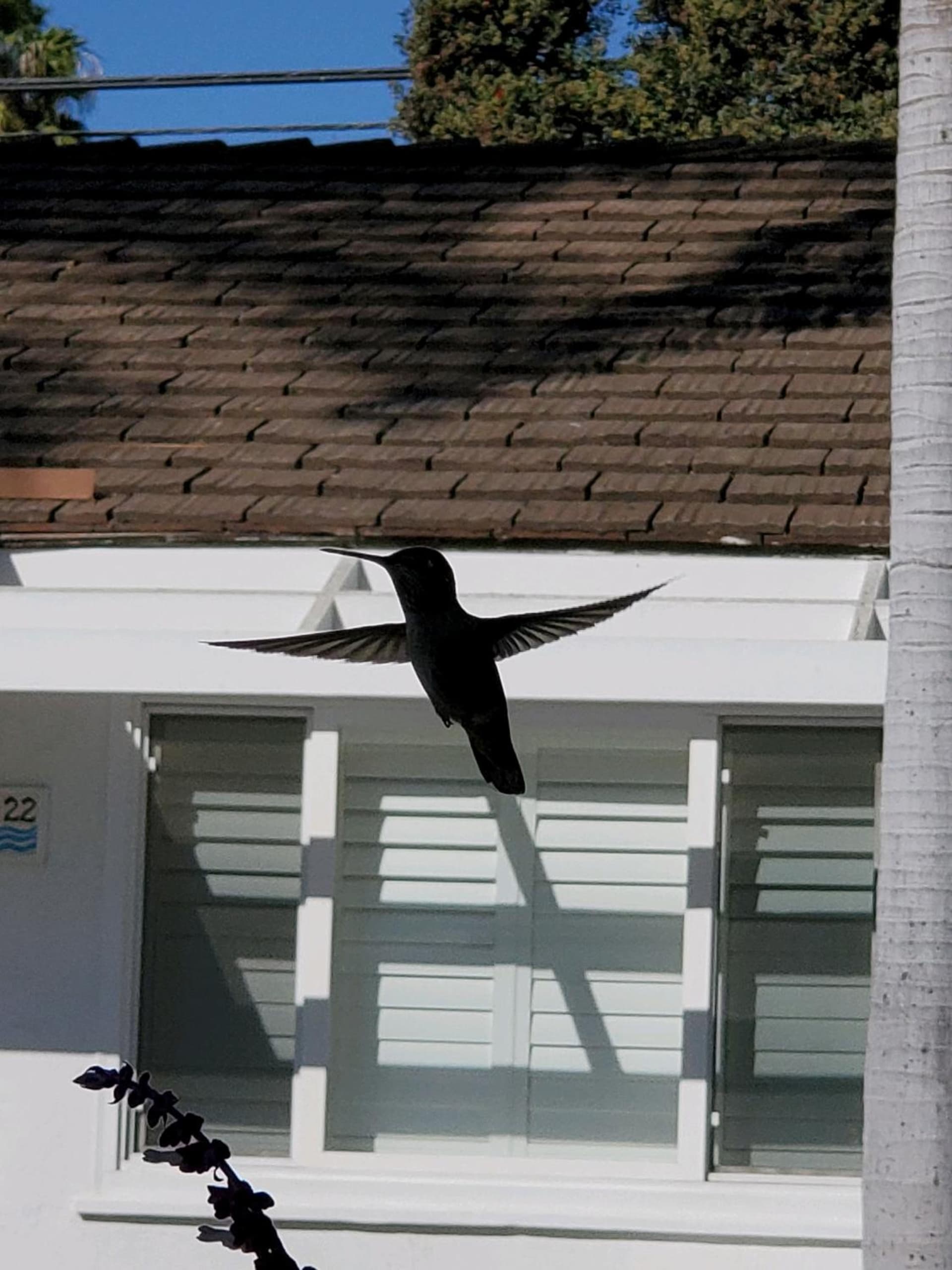 Marina Beach Hotel gallery photo in Santa Barbara, CA — image 96