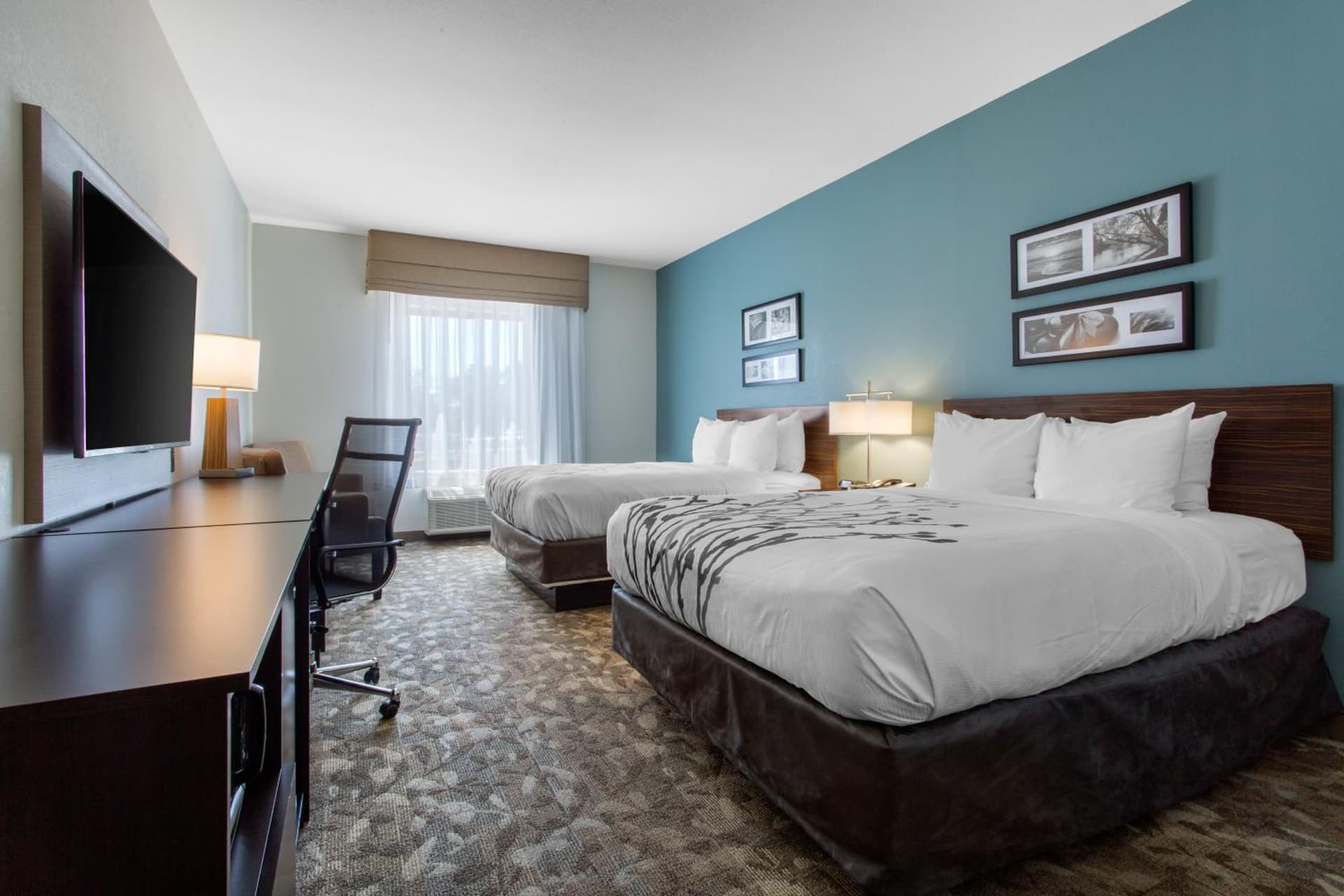 Sleep Inn & Suites Middletown - Goshen gallery photo in Middletown, NY — image 49