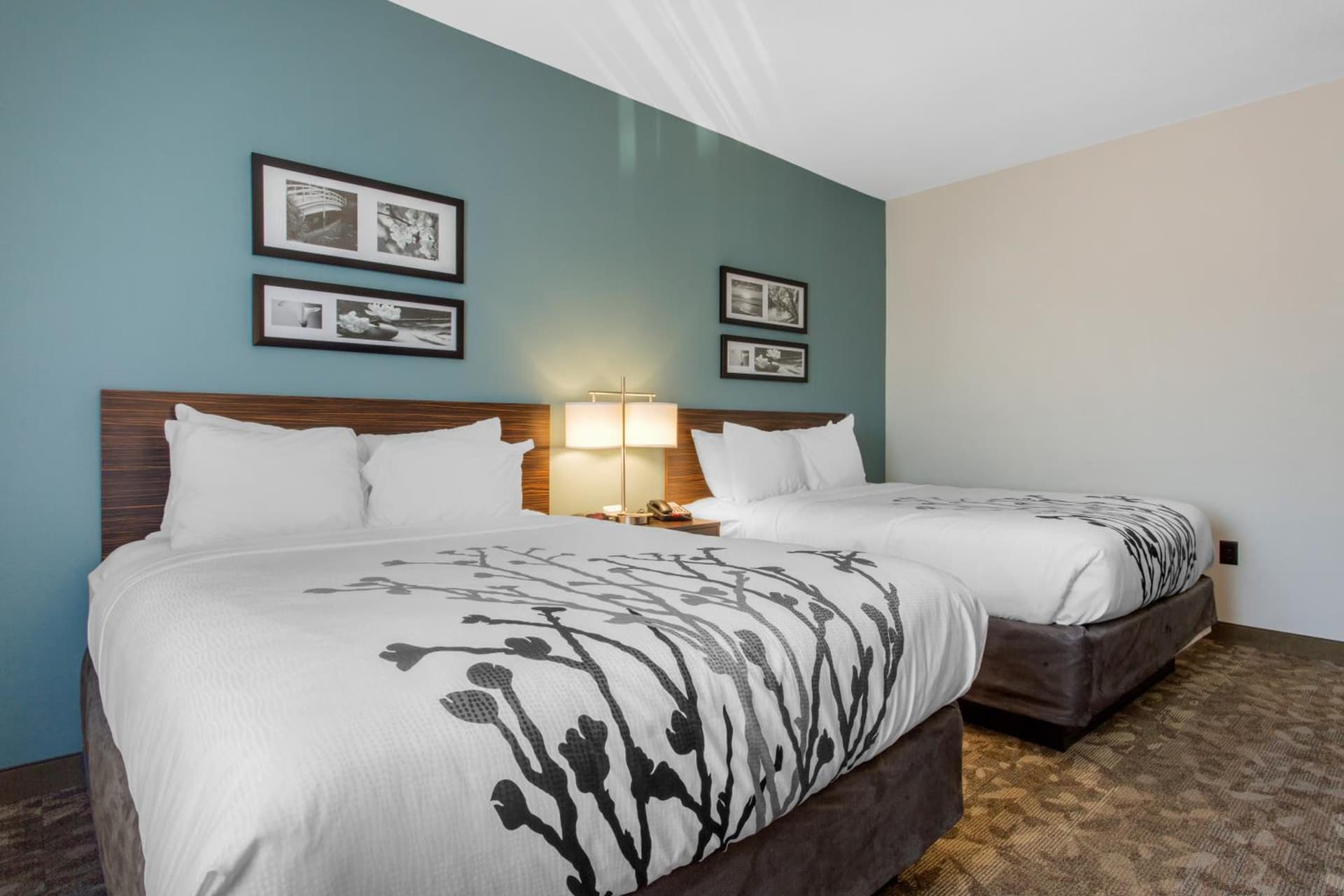 Sleep Inn & Suites Middletown - Goshen gallery photo in Middletown, NY — image 16