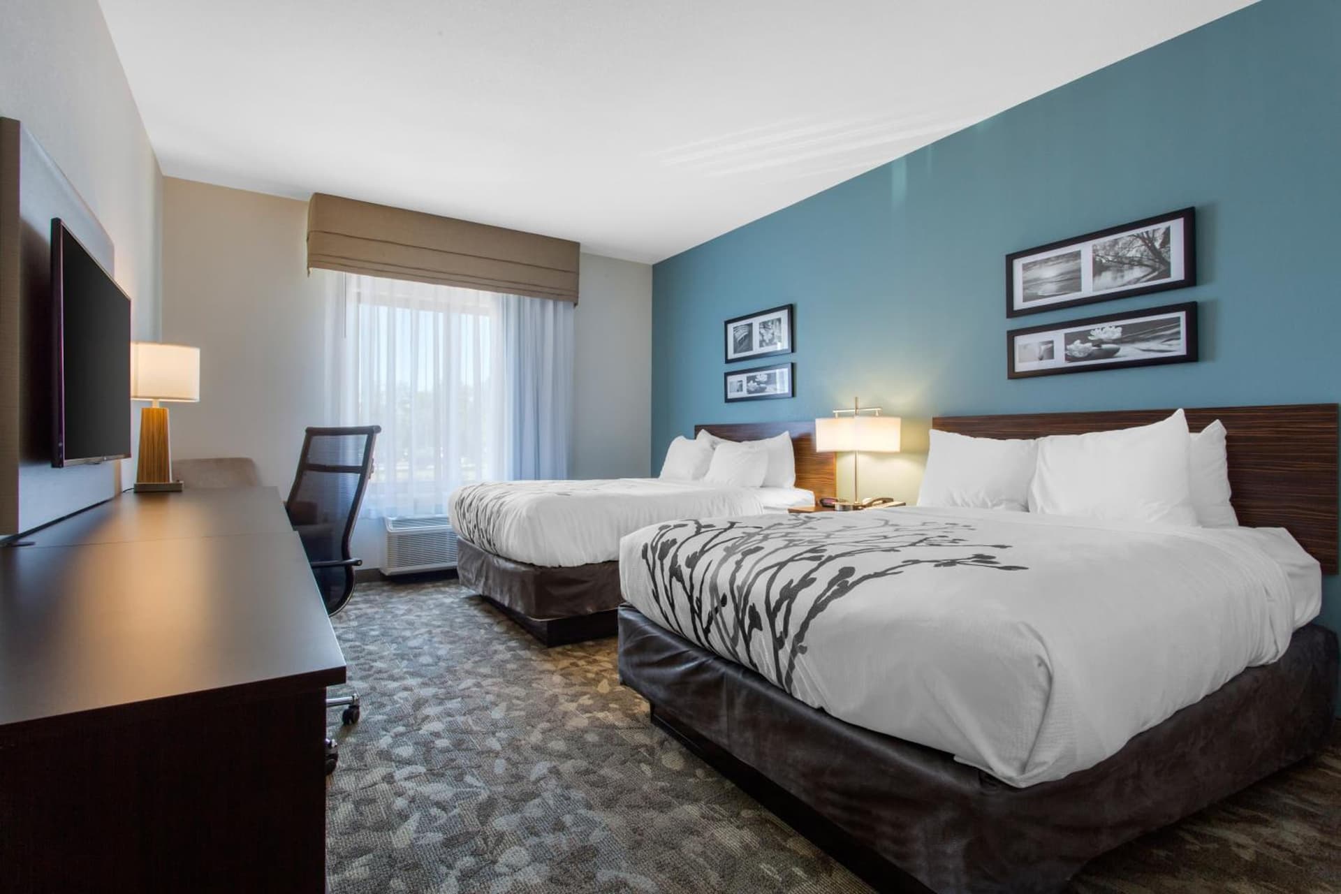 Sleep Inn & Suites Middletown - Goshen gallery photo in Middletown, NY — image 7