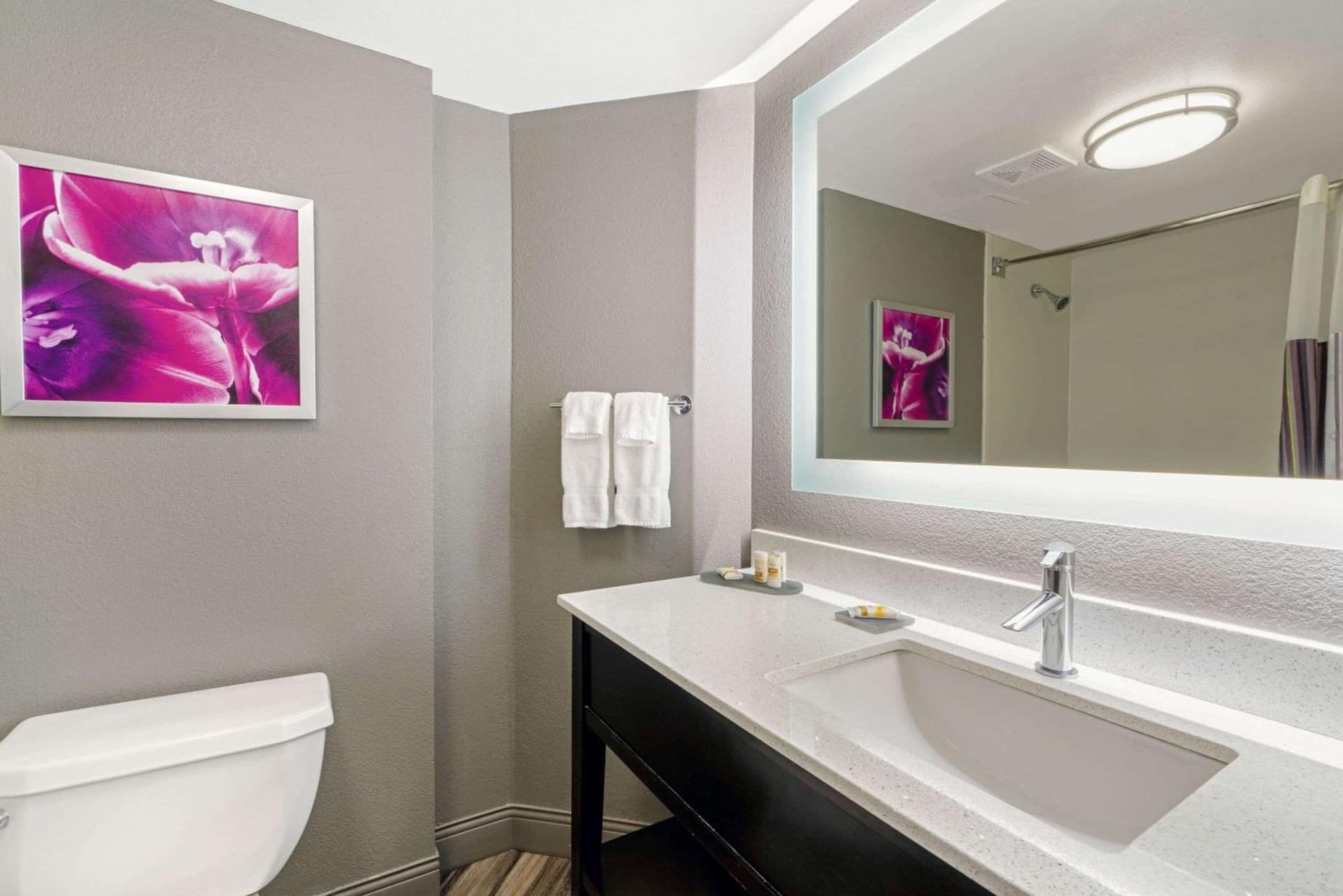 La Quinta Inn & Suites by Wyndham Phoenix Scottsdale gallery photo in Scottsdale, AZ — image 11