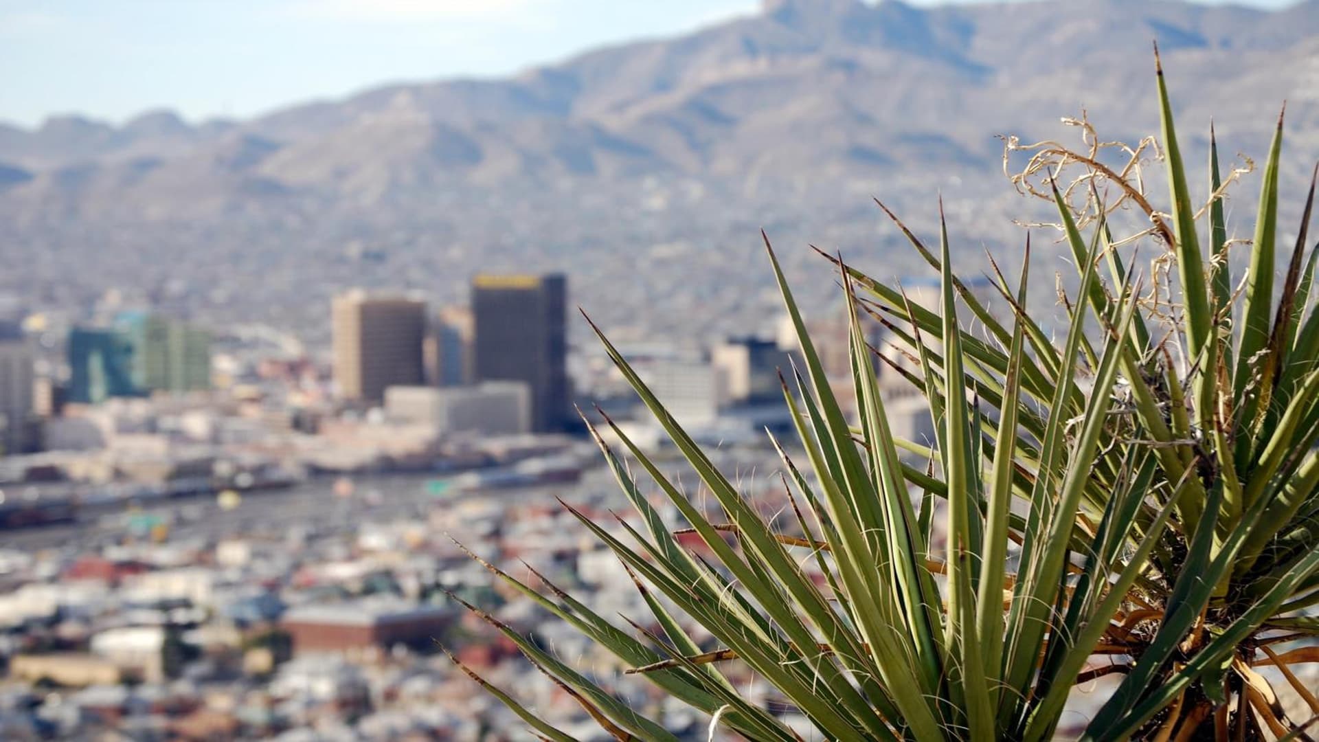 Hotel Indigo El Paso Downtown by IHG gallery photo in El Paso, TX — image 78