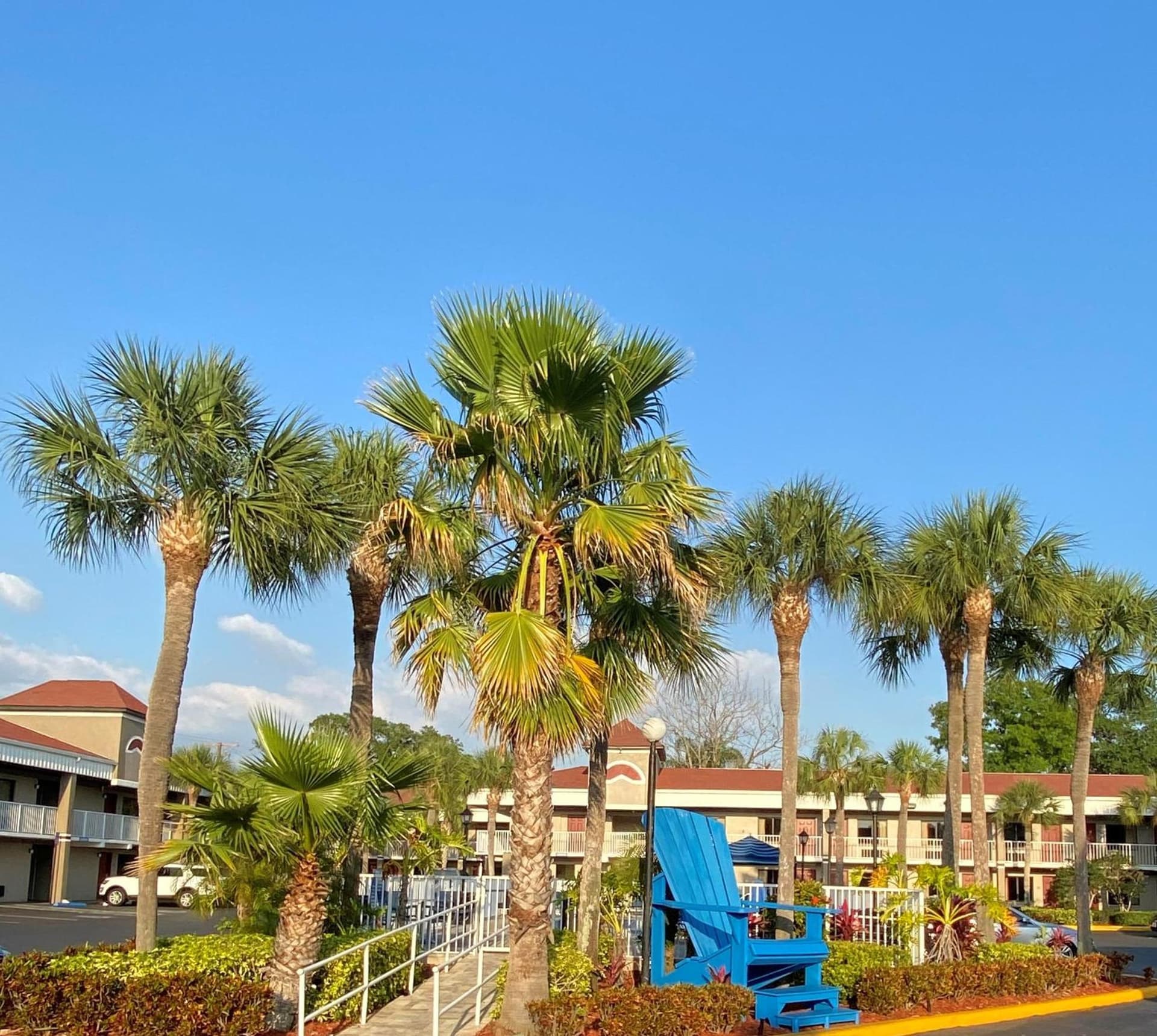 Hotel South Tampa & Suites gallery photo in Tampa, FL — image 7