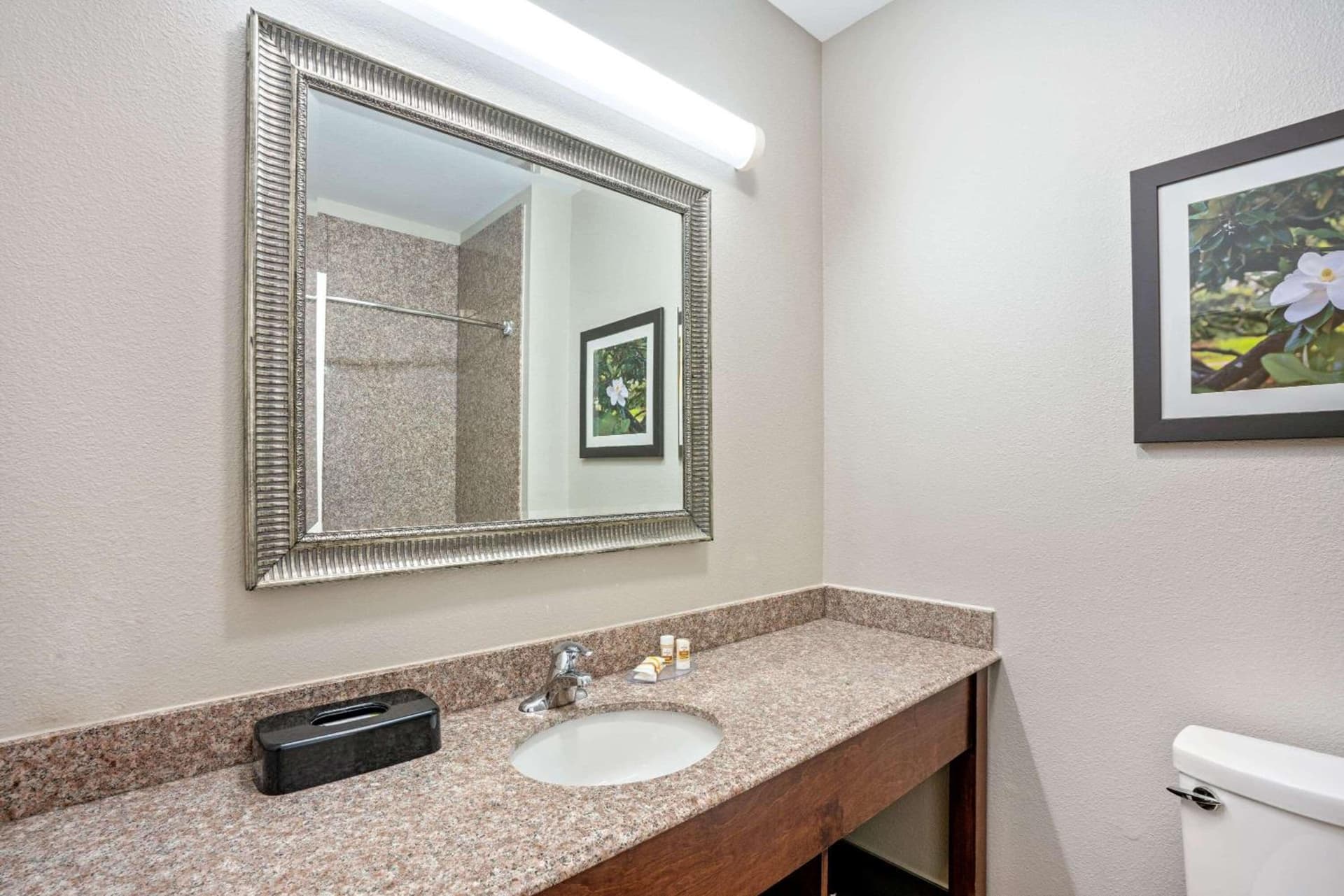 La Quinta by Wyndham Houston - Magnolia gallery photo in The Woodlands, TX — image 5