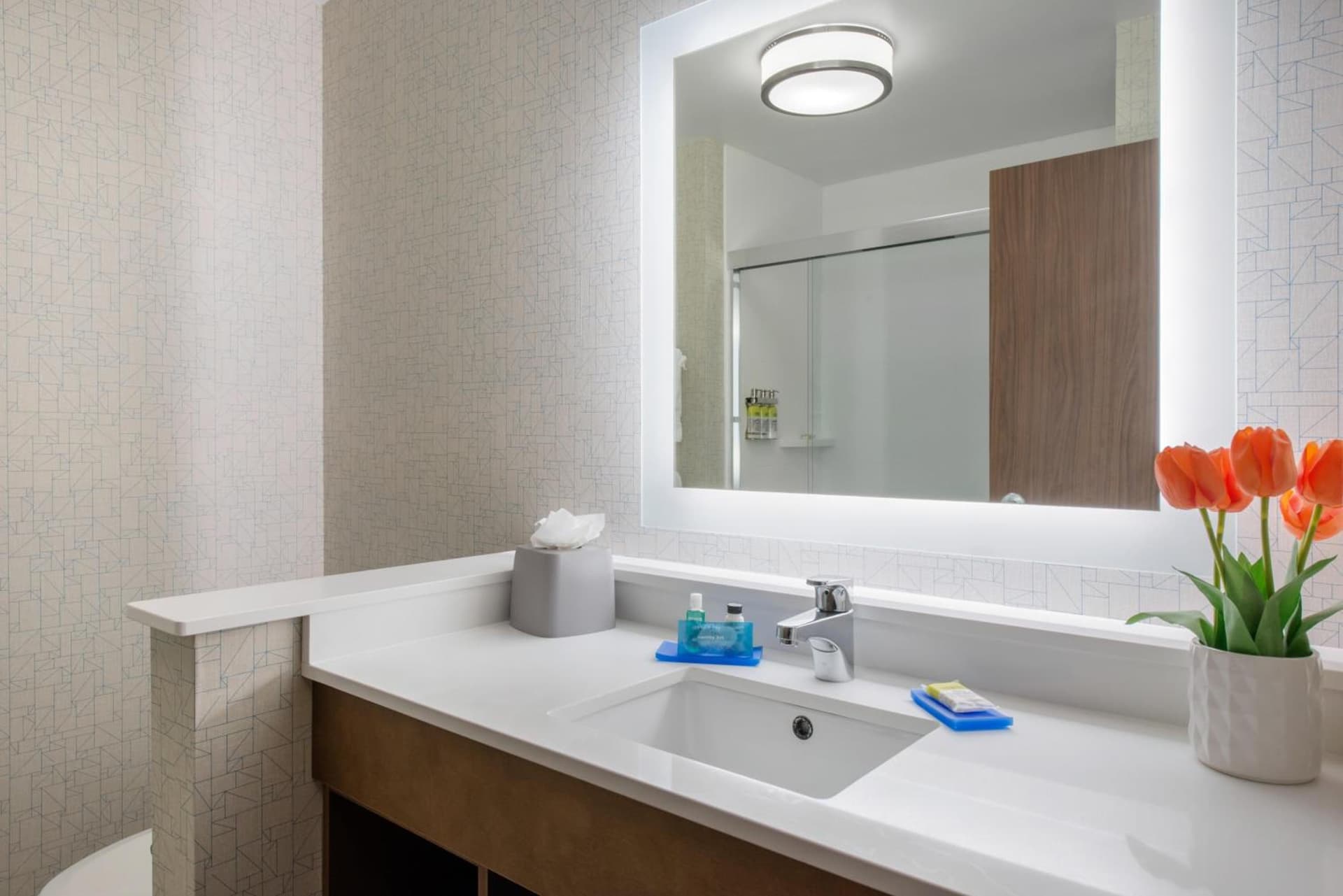 Holiday Inn Express & Suites Alachua - Gainesville Area by IHG gallery photo in Alachua, FL — image 22